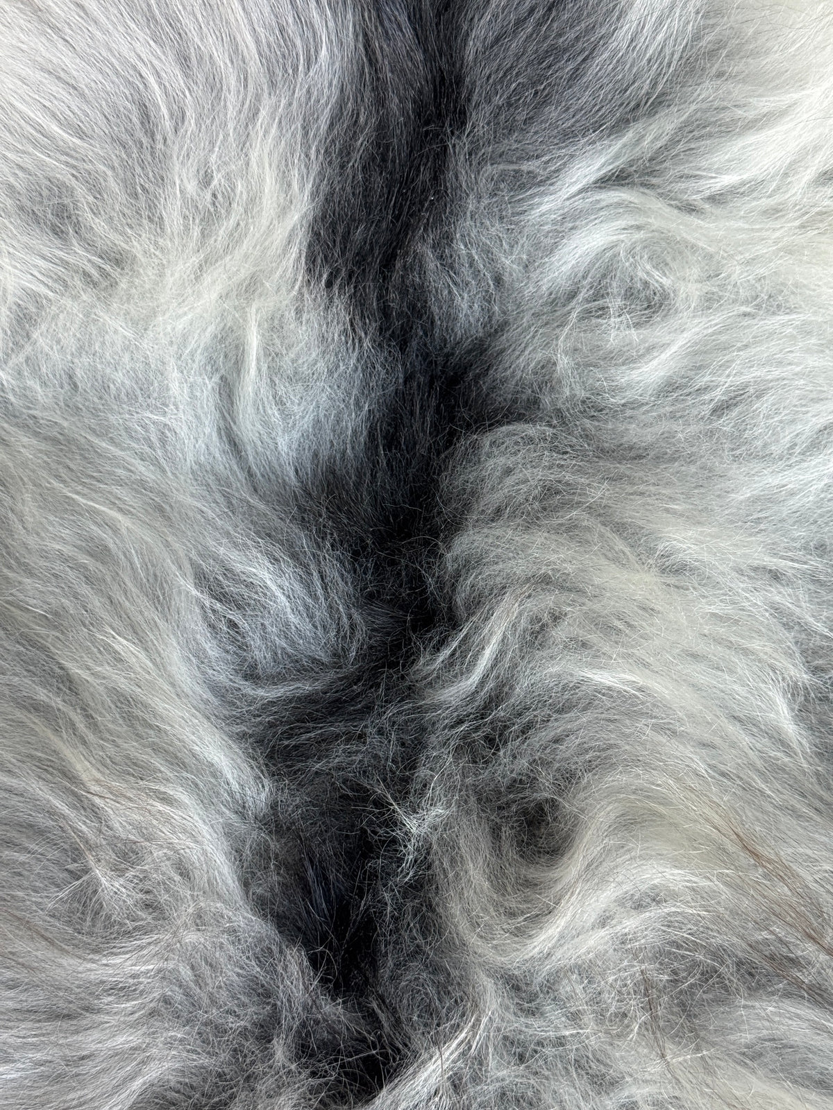 ONE OF A KIND Natural Light Grey Icelandic Sheepskin