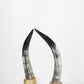 Ankole Dark Decorative Horn Set - Black Sheep (White Light)