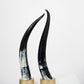 Ankole Dark Decorative Horn Set - Black Sheep (White Light)