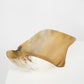 Ankole Horn Light Organic Vessel - Black Sheep (White Light)