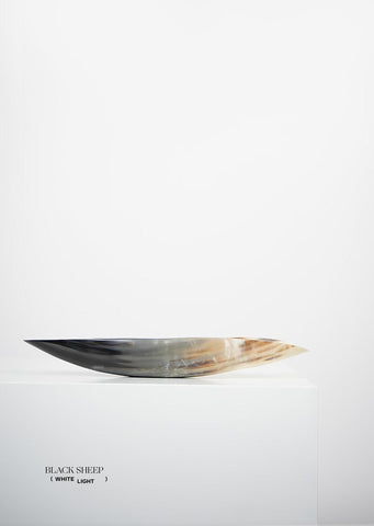 Ankole Horn Dark Oval Vessel - Black Sheep (White Light)