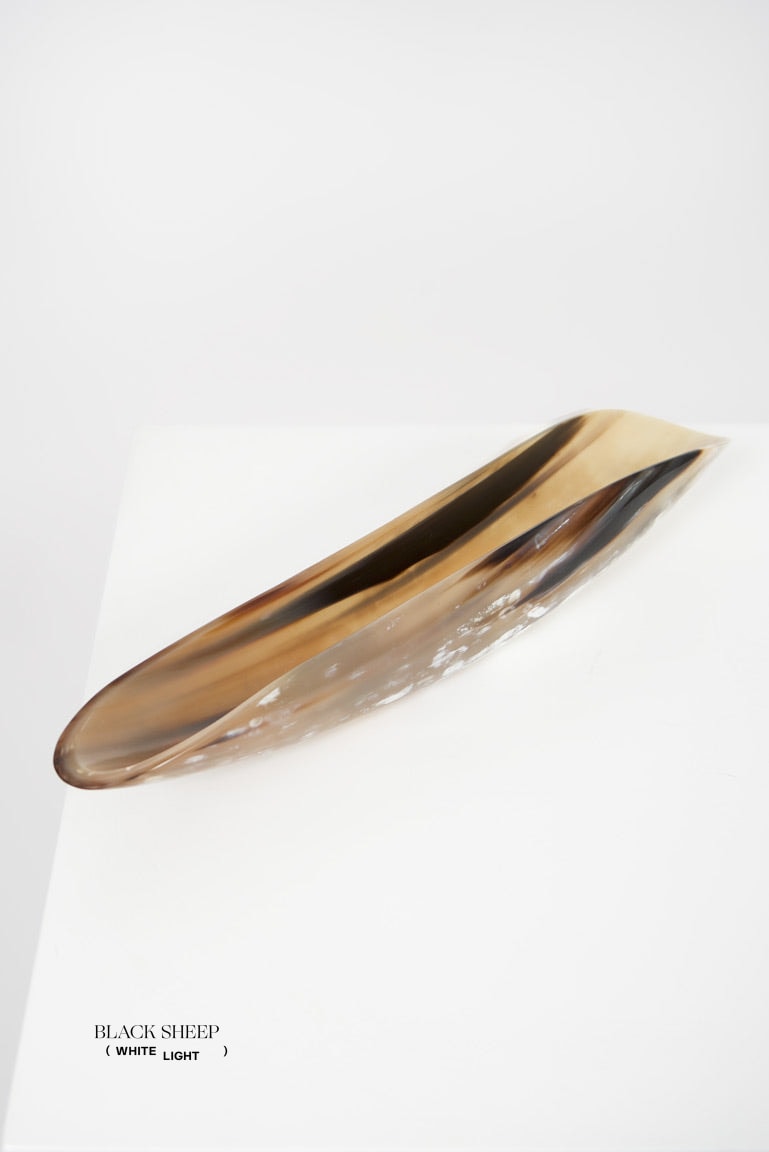 Ankole Horn Light Oval  Vessel - Black Sheep (White Light)