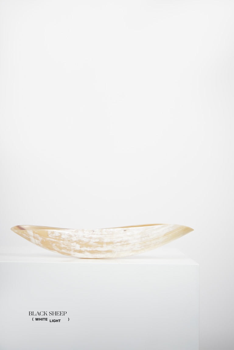 Ankole Horn Light Oval  Vessel - Black Sheep (White Light)