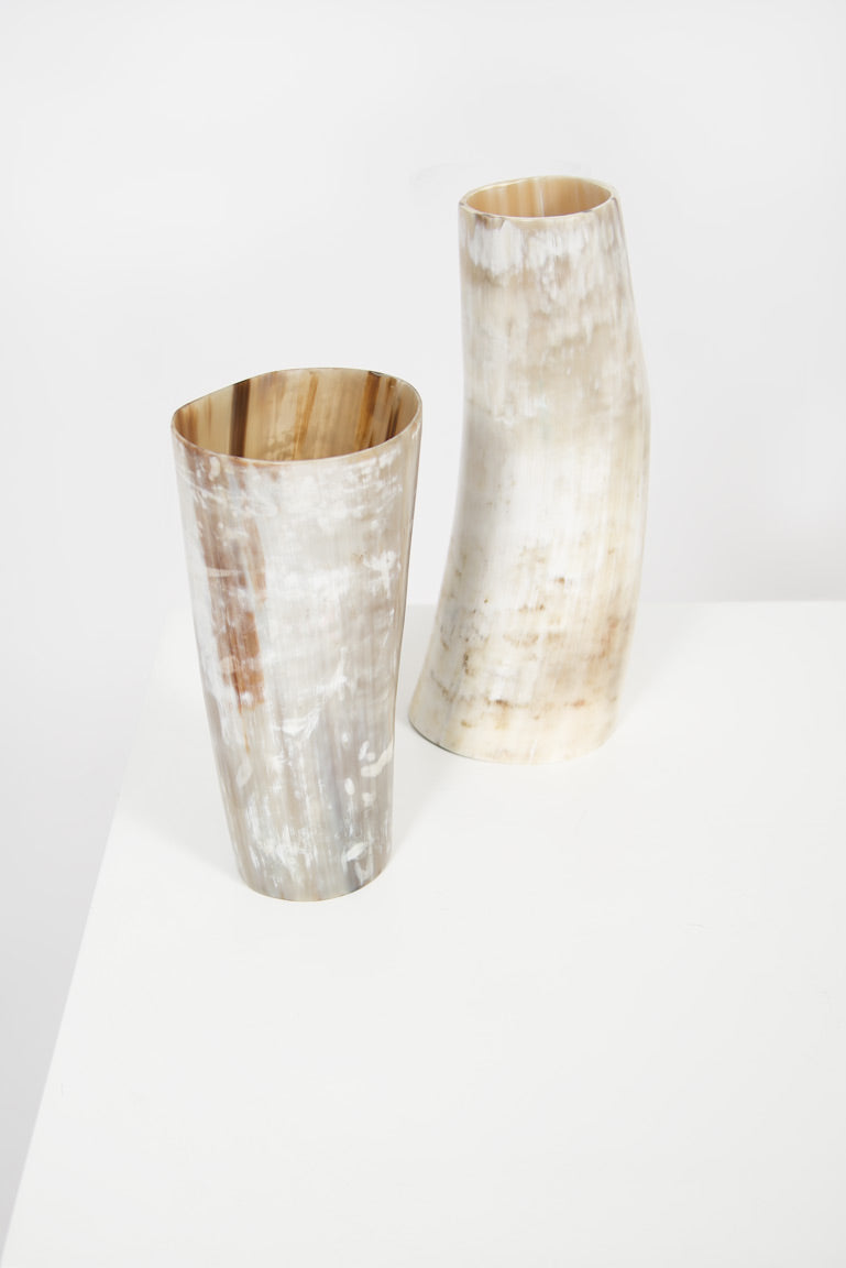 Ankole Horn Light Vase - Black Sheep (White Light)