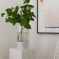 Lauren Black Marble and Glass Vase - Black Sheep (White Light)
