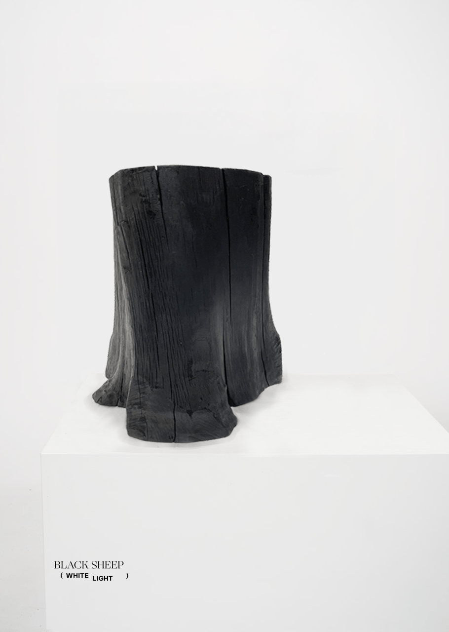 Burnt Teak Trunk Side Table or Stool - Black Sheep (White Light)