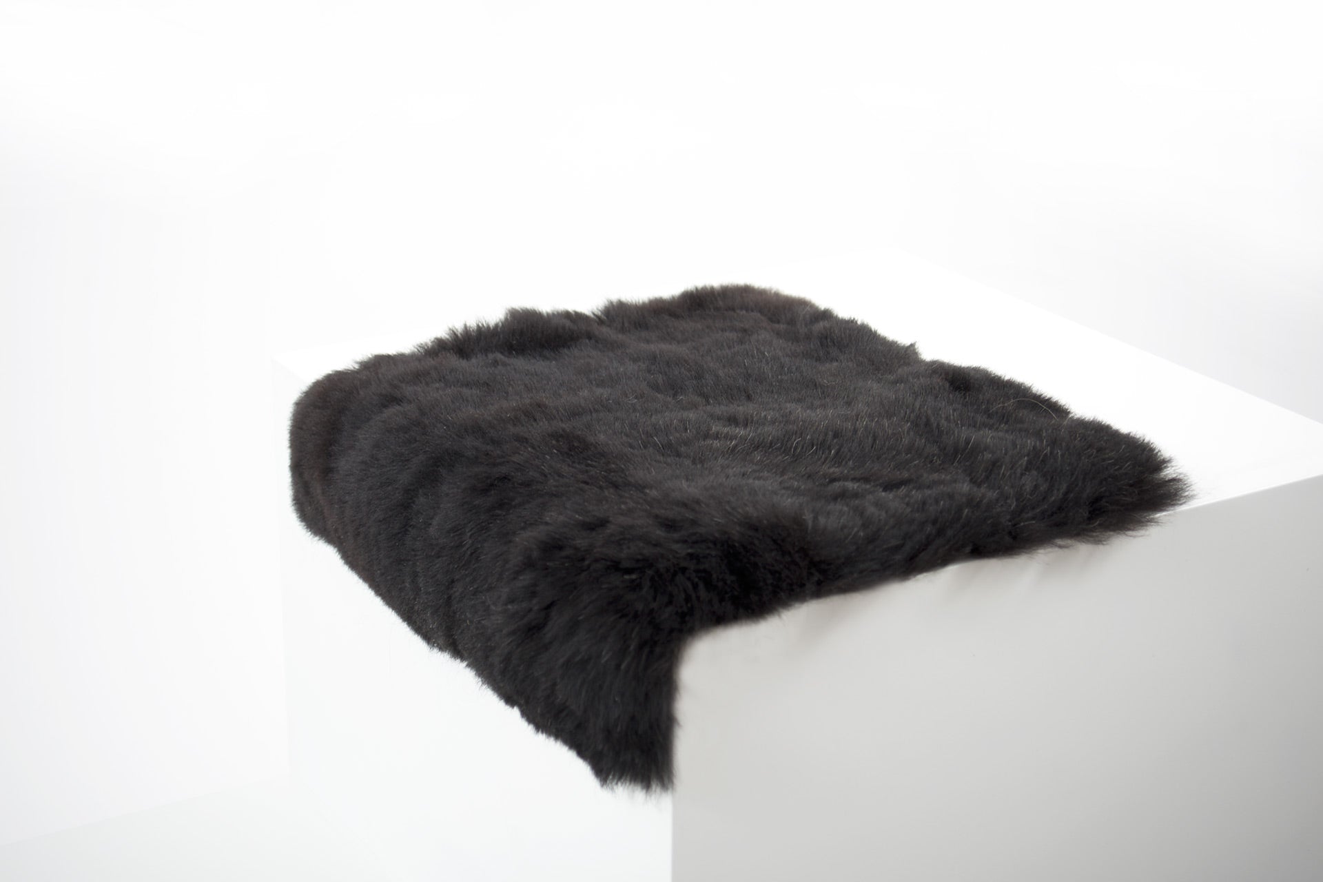 Shorn Black Icelandic Sheepskin Chair Pad - Black Sheep (White Light)