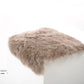 Shorn Taupe Icelandic Sheepskin Chair Pad - Black Sheep (White Light)