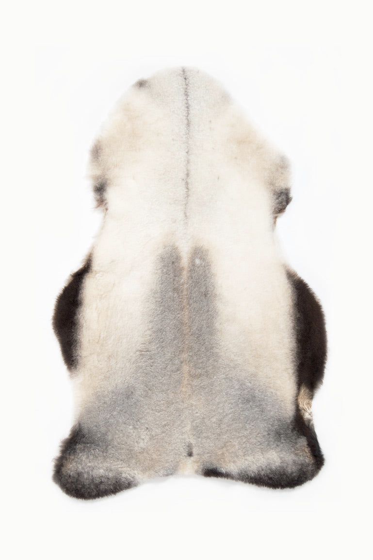 Shorn Grey Icelandic Sheepskin - Black Sheep (White Light)