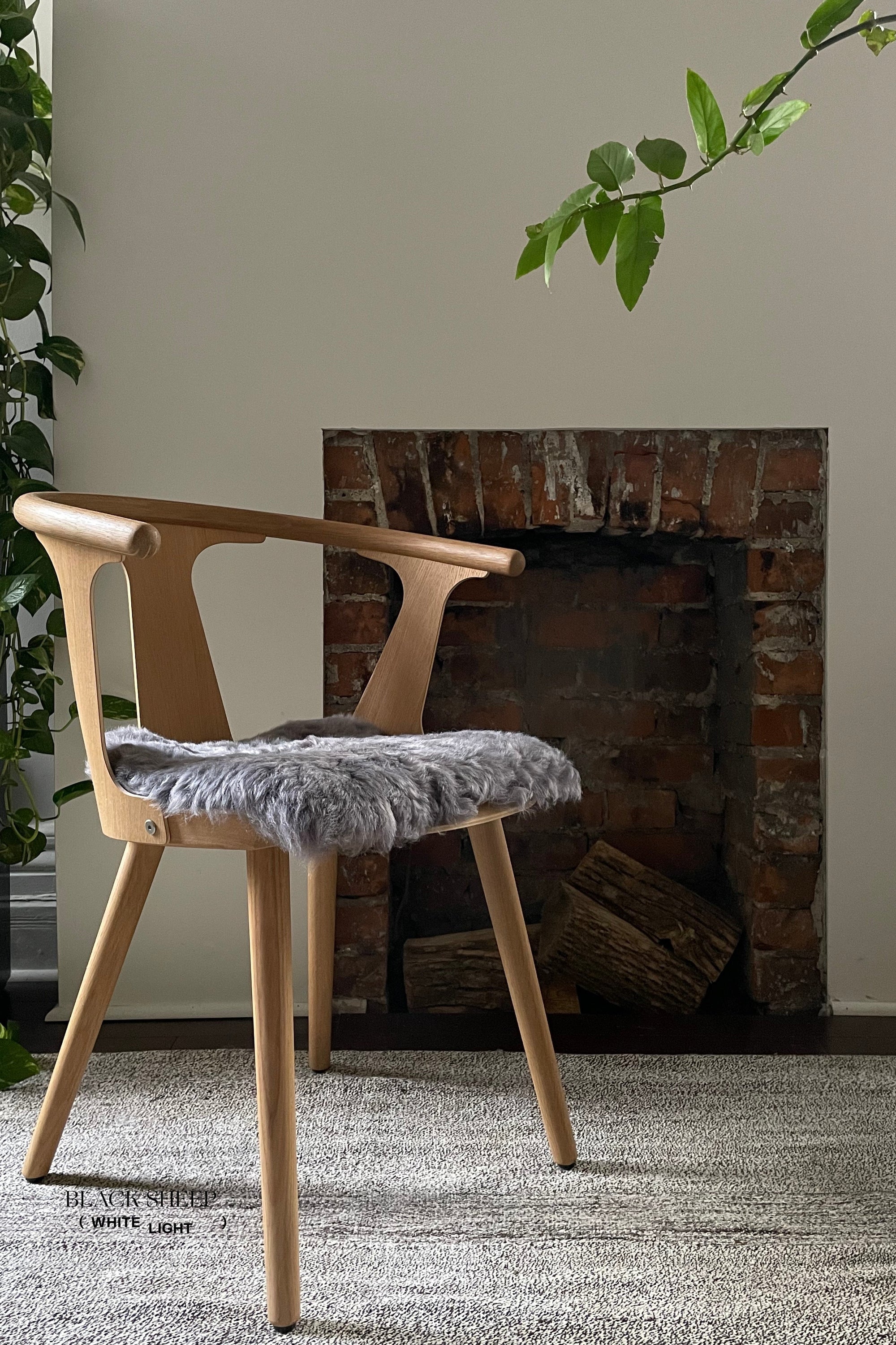 Shorn Silver Icelandic Sheepskin Chair Pad - Black Sheep (White Light)