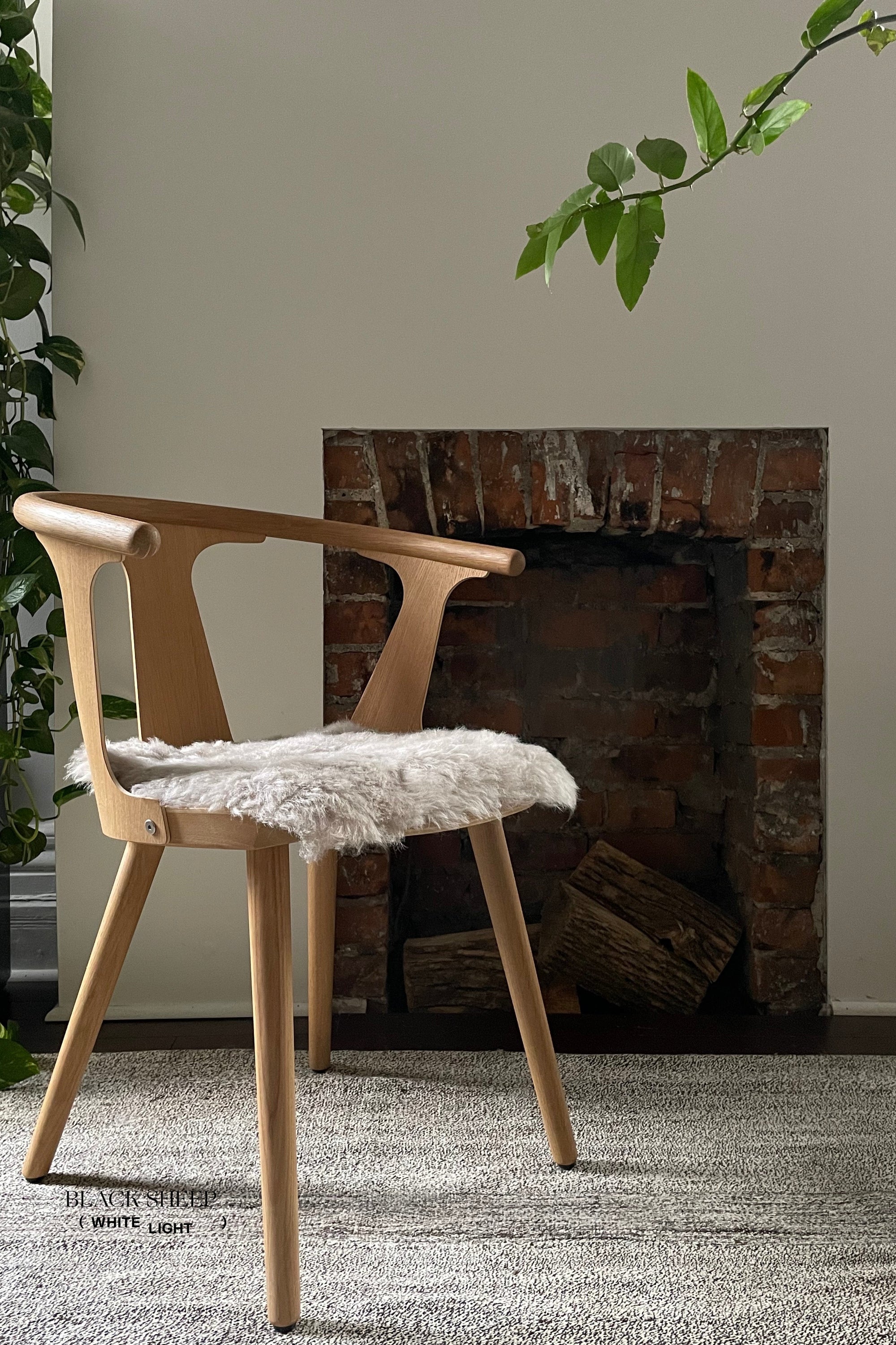 Shorn Nude Icelandic Sheepskin Chair Pad - Black Sheep (White Light)
