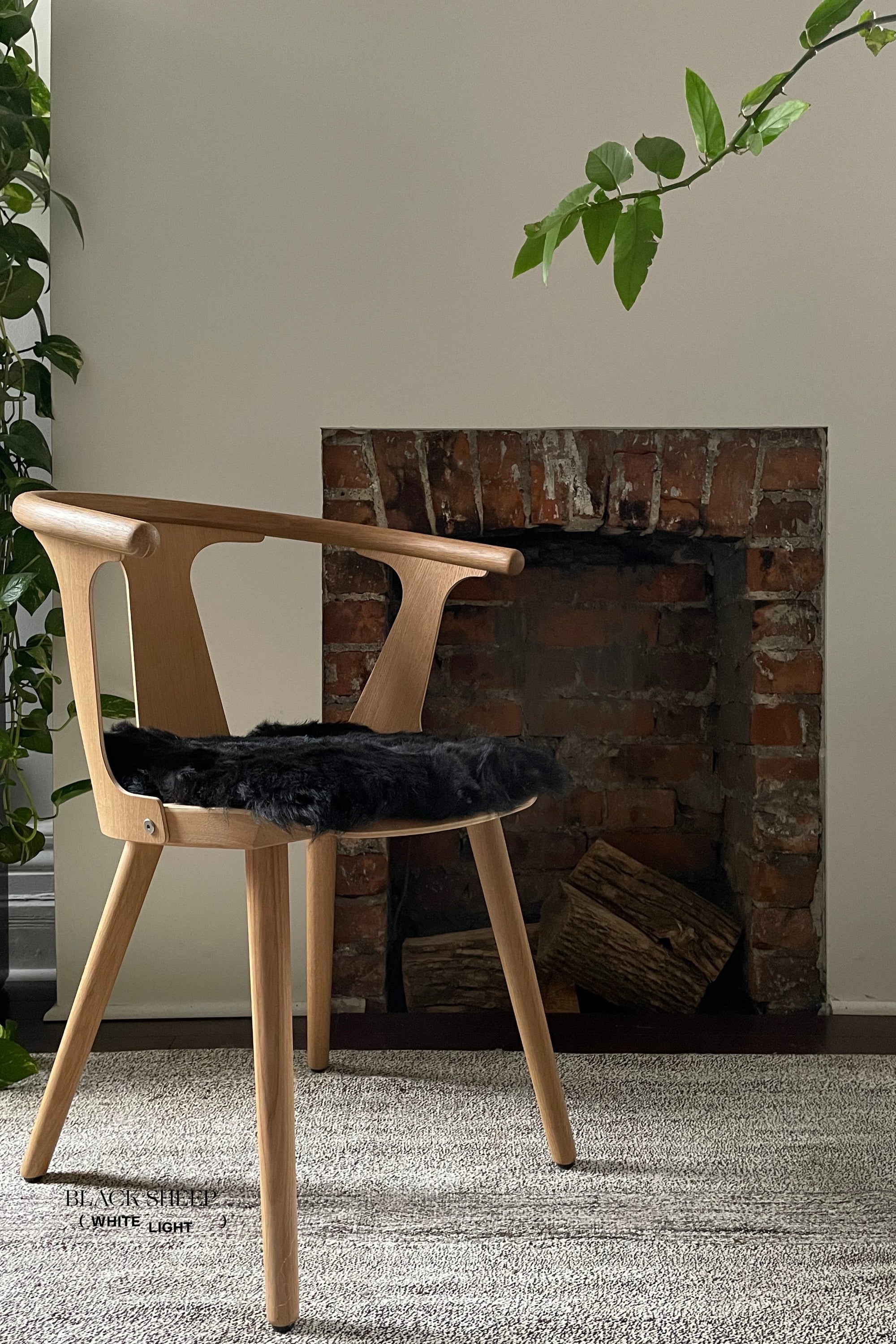 Shorn Black Icelandic Sheepskin Chair Pad - Black Sheep (White Light)