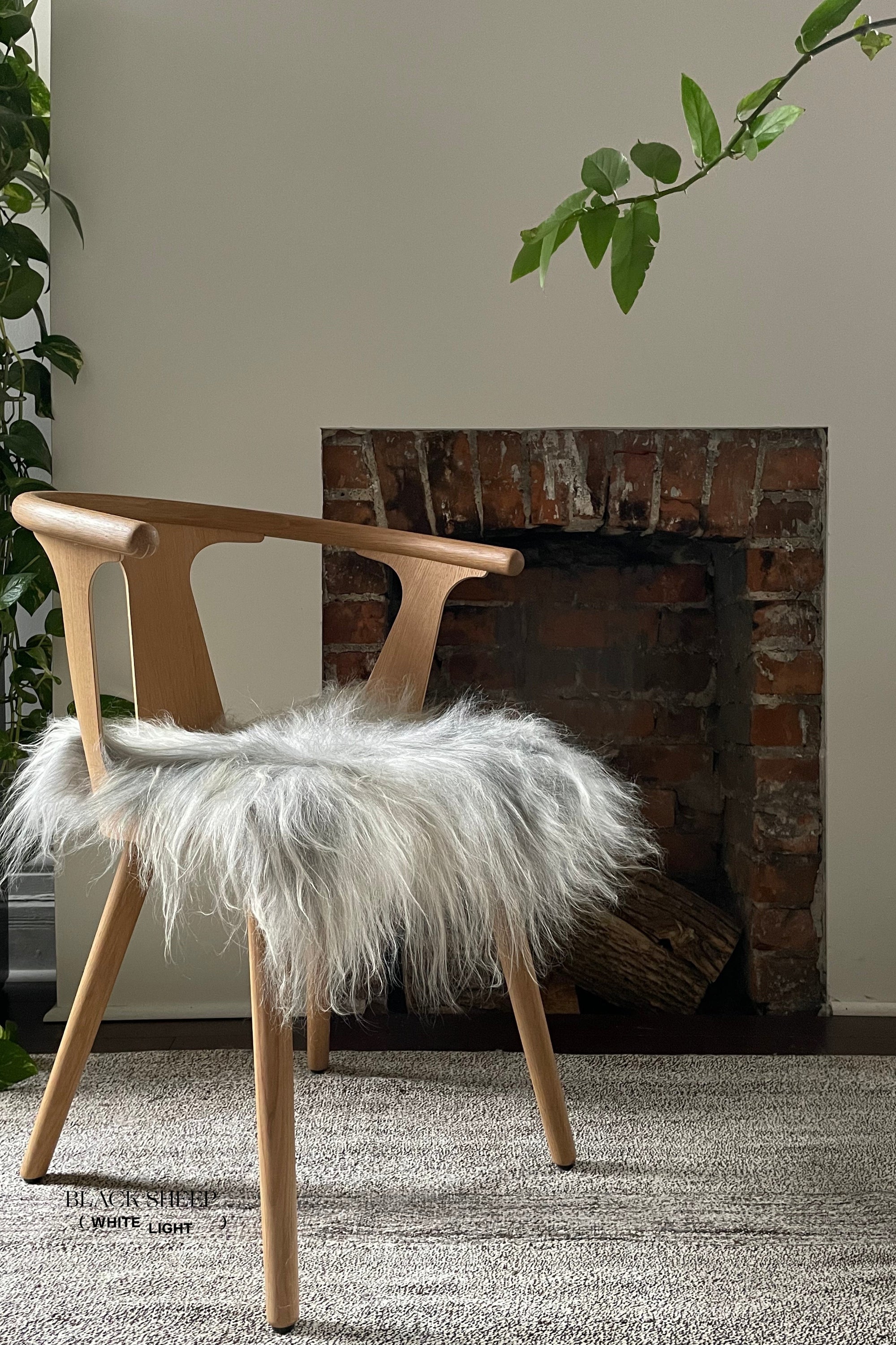 Natural Light Grey Icelandic Sheepskin Chair Pad - Black Sheep (White Light)