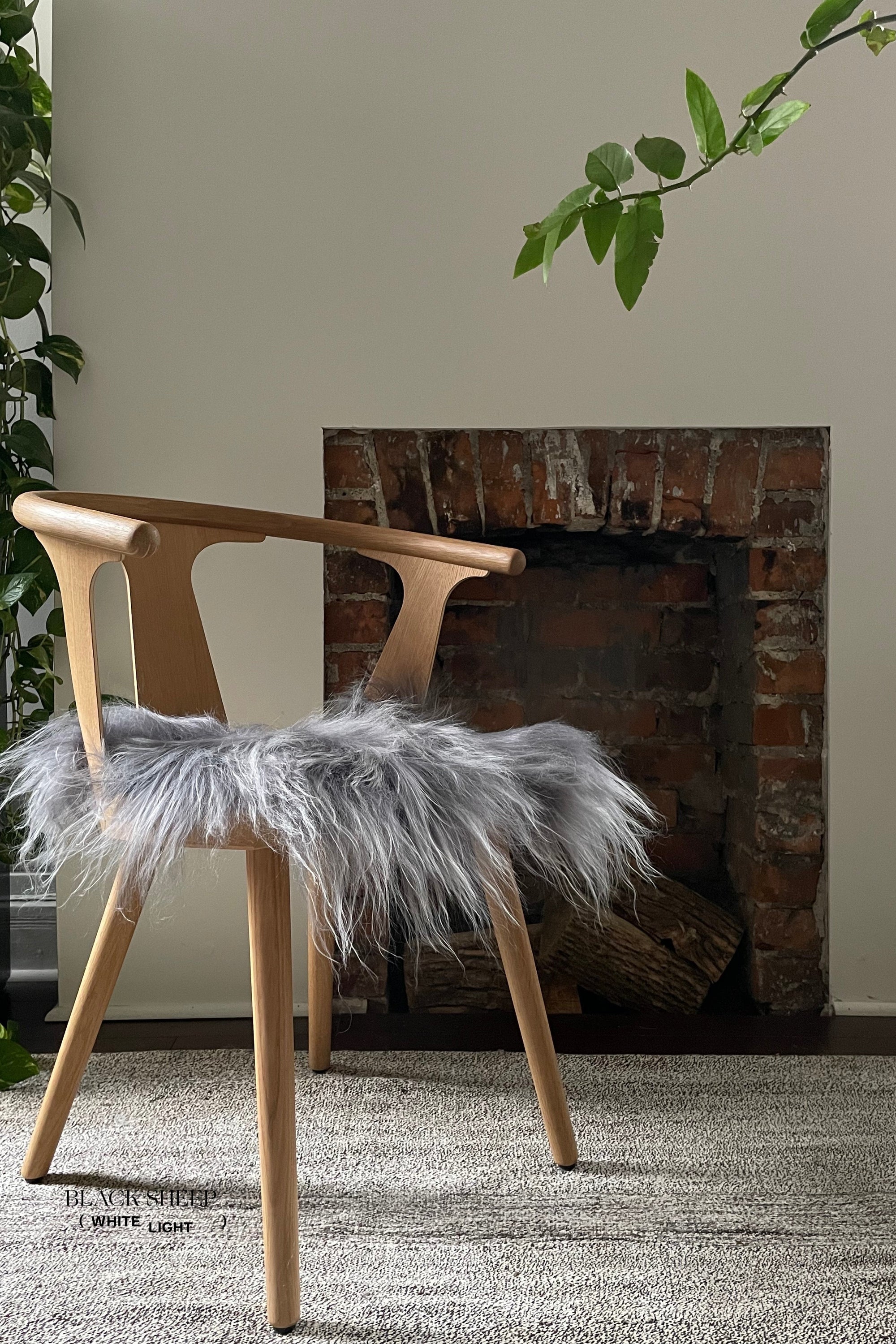 Silver Icelandic Sheepskin Chair Pad - Black Sheep (White Light)