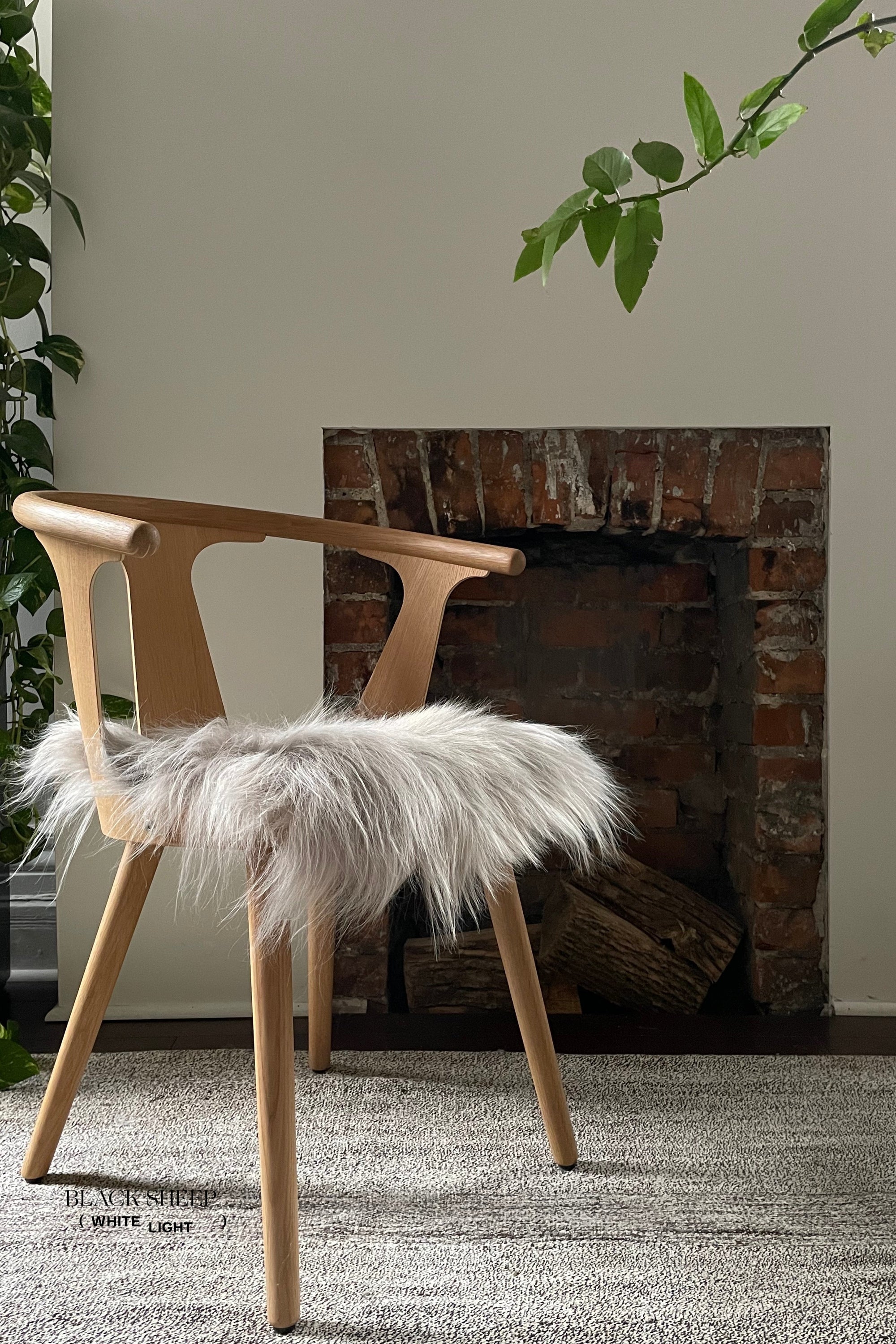 Nude Icelandic Sheepskin Chair Pad - Black Sheep (White Light)