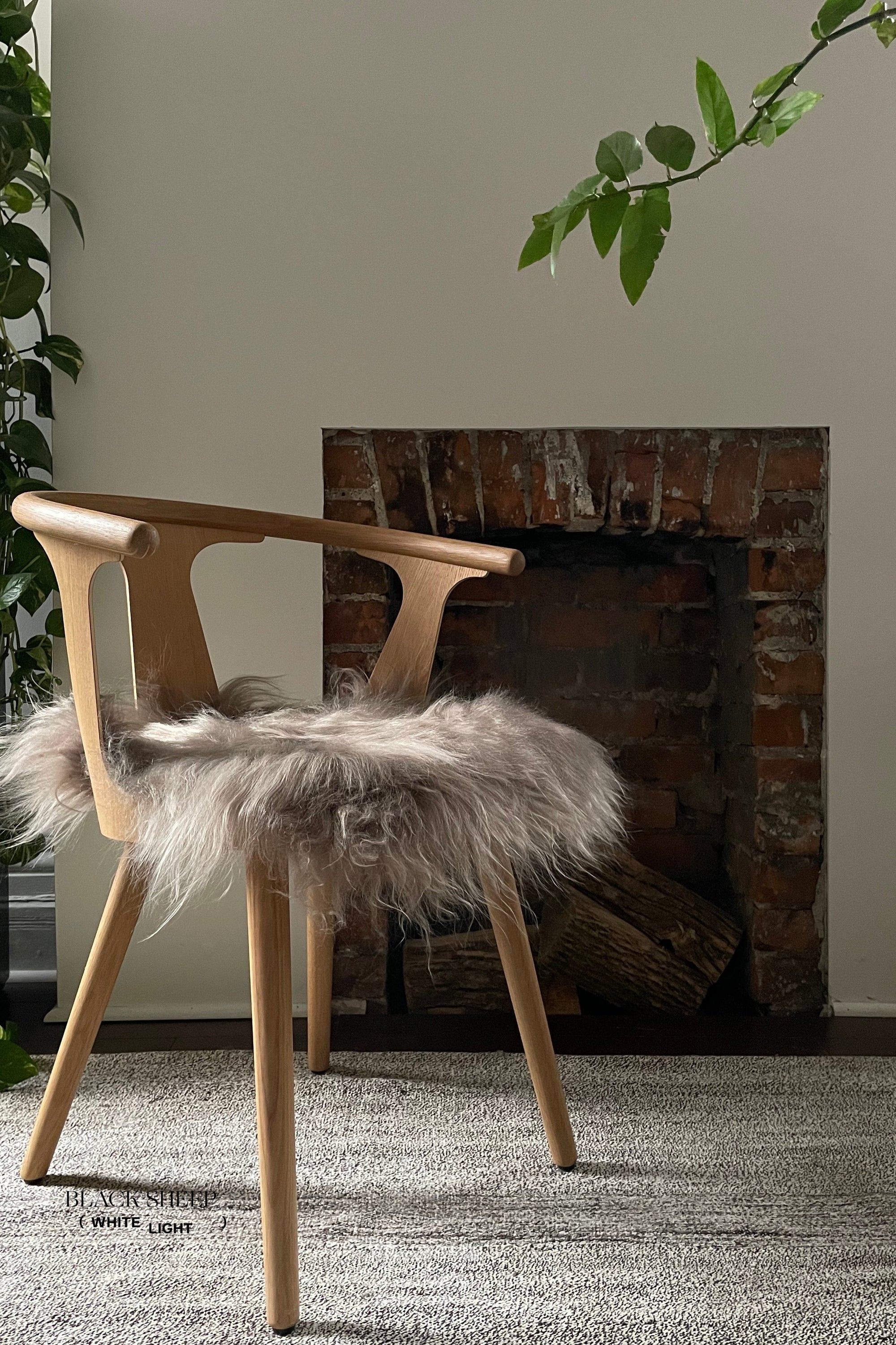 Taupe Icelandic Sheepskin Chair Pad - Black Sheep (White Light)