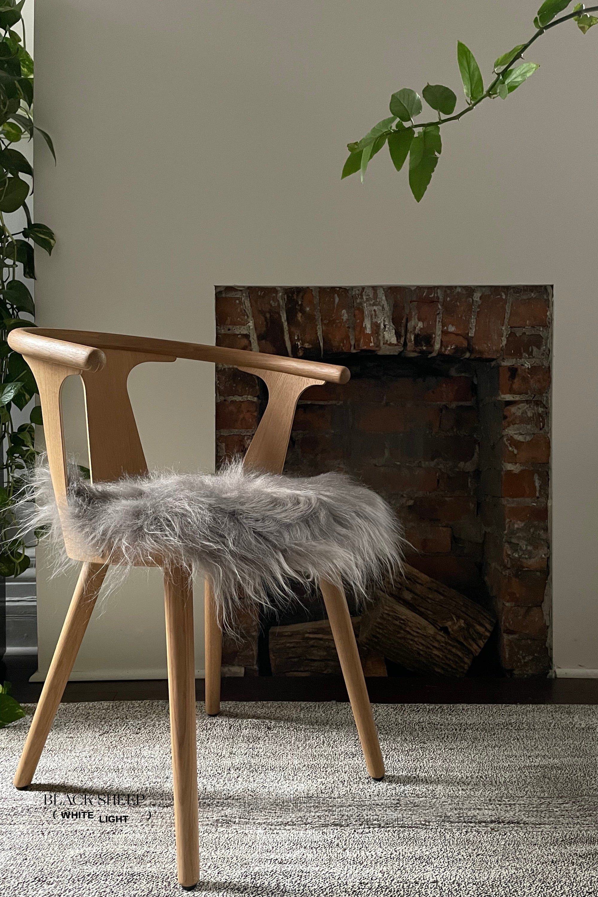 Mineral Icelandic Sheepskin Chair Pad - Black Sheep (White Light)