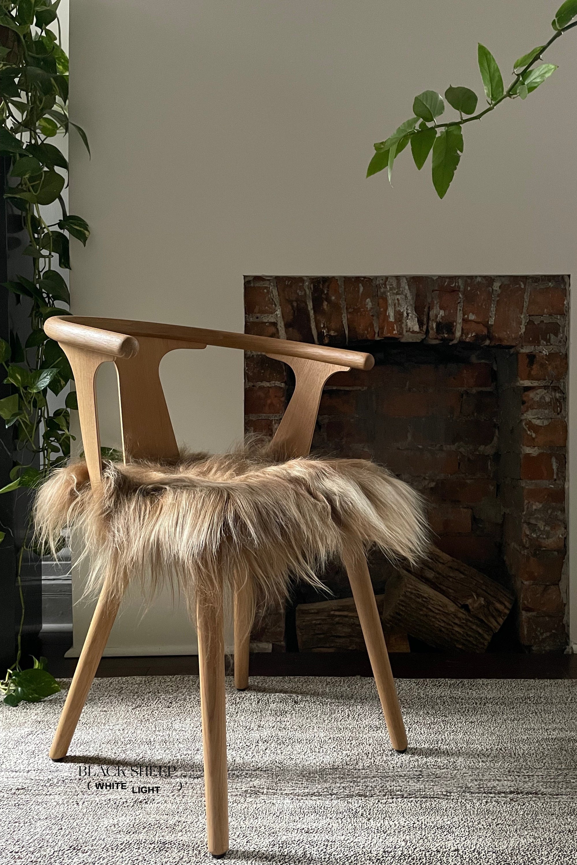 Brown Icelandic Sheepskin Chair Pad - Black Sheep (White Light)