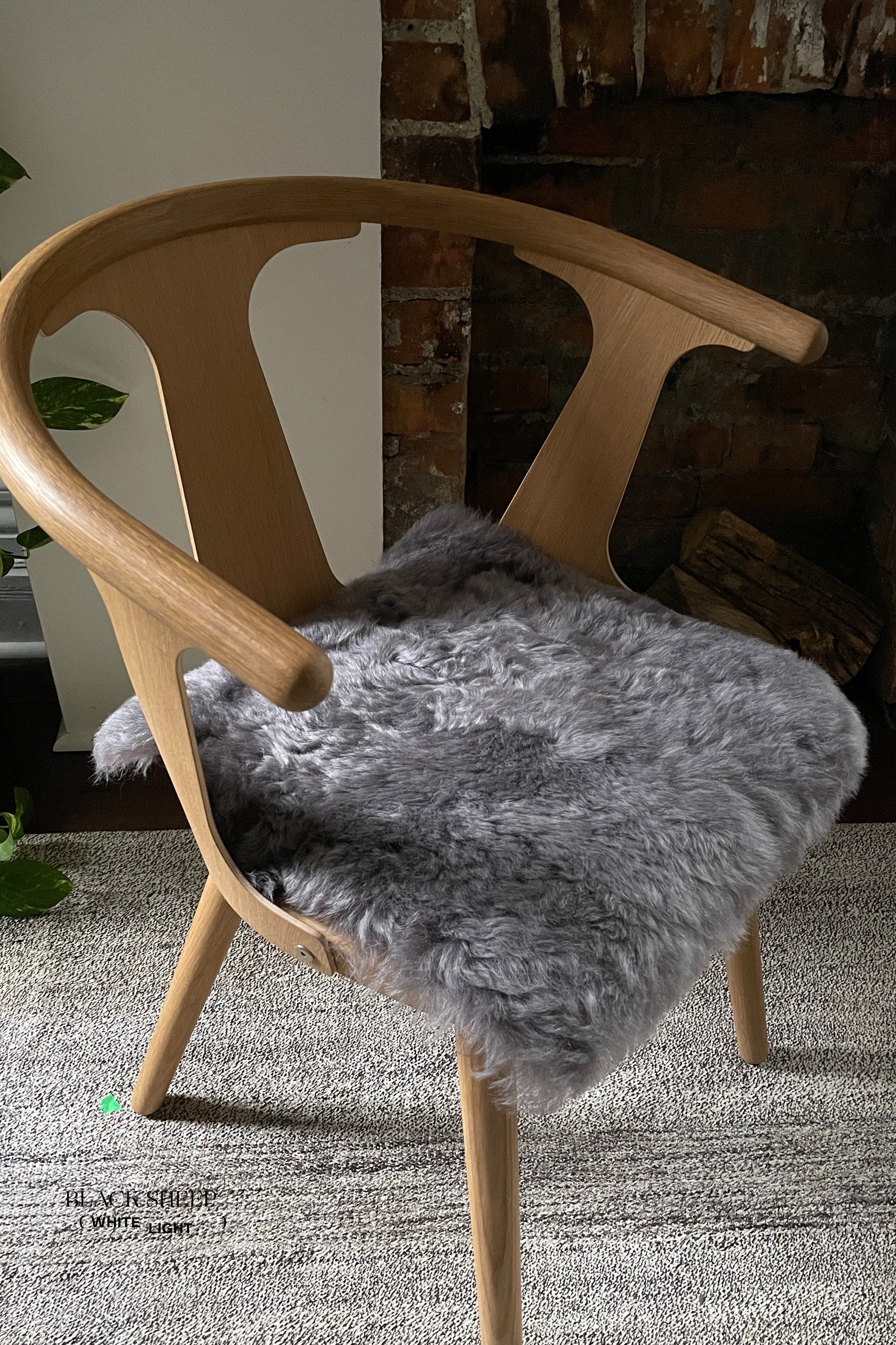 Shorn Silver Icelandic Sheepskin Chair Pad - Black Sheep (White Light)