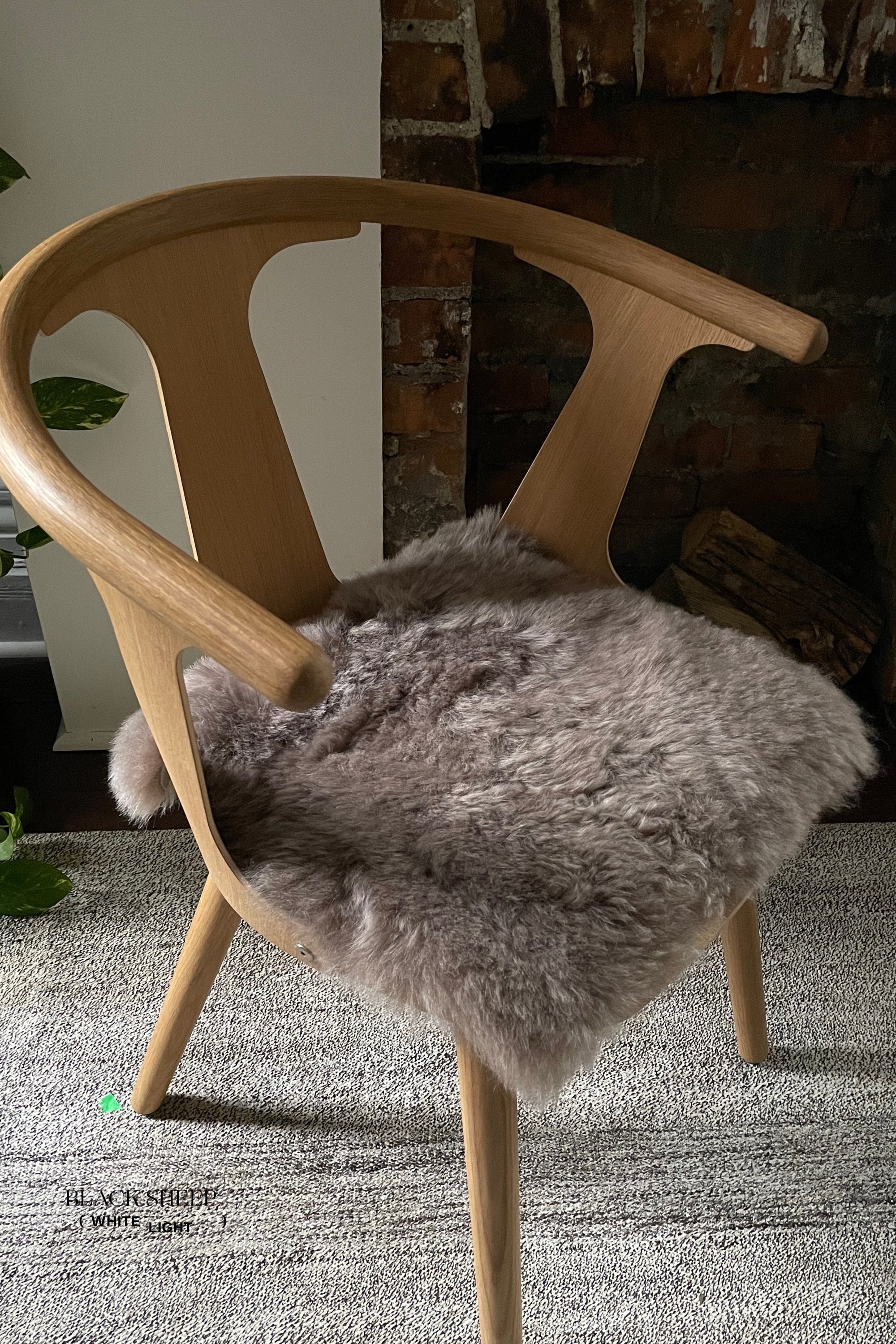 Shorn Taupe Icelandic Sheepskin Chair Pad - Black Sheep (White Light)
