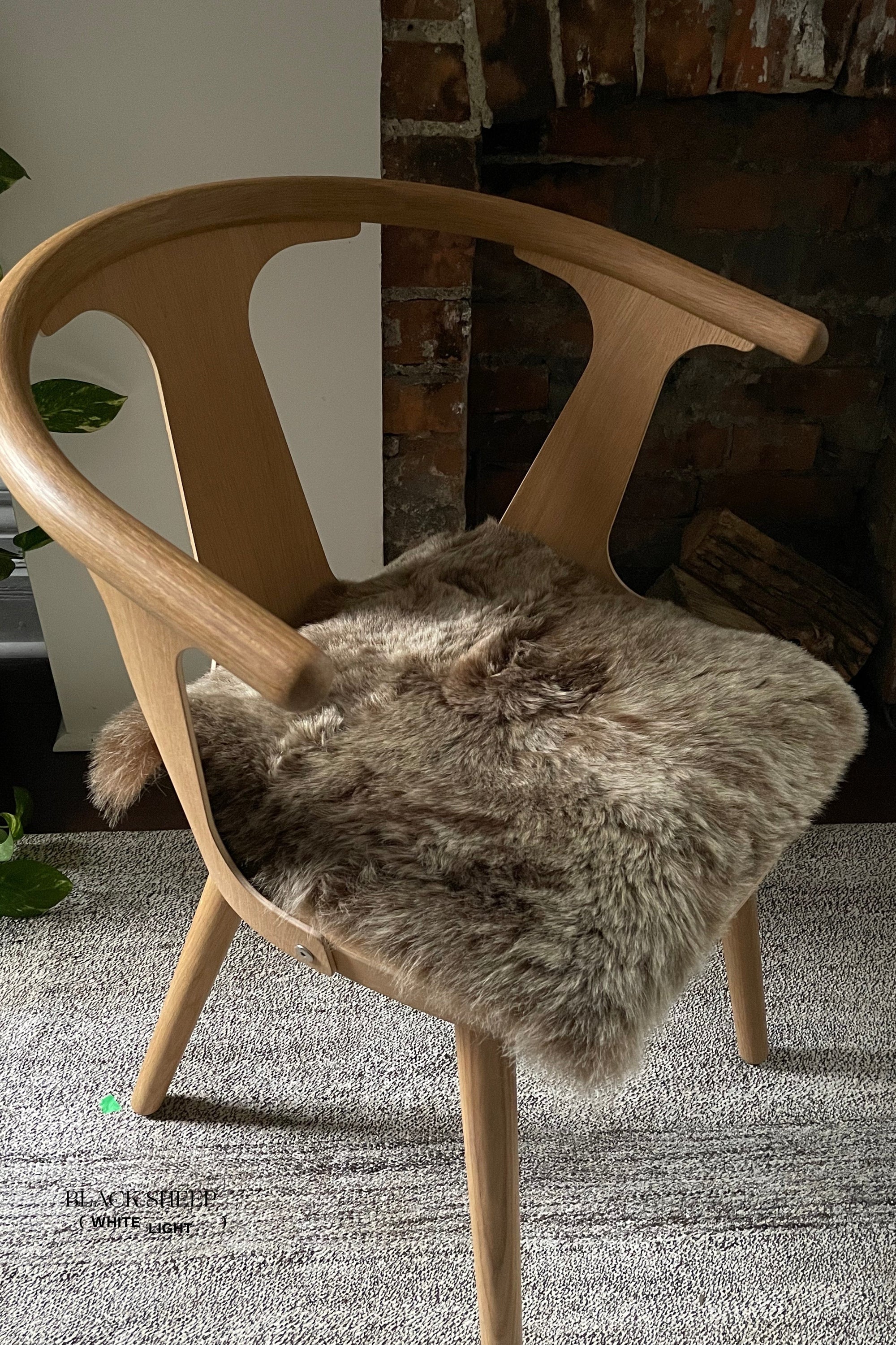 Shorn Brown Icelandic Sheepskin Chair Pad - Black Sheep (White Light)