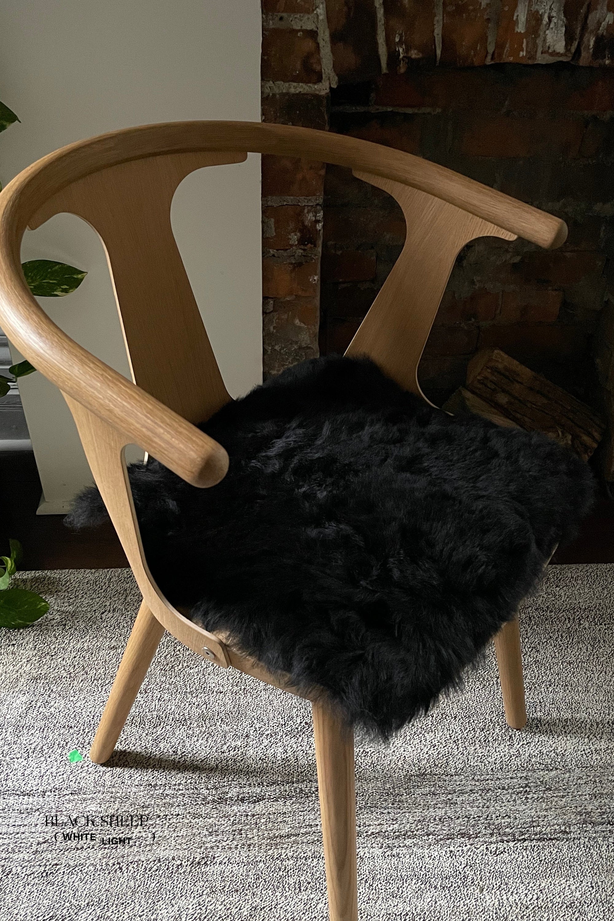 Shorn Black Icelandic Sheepskin Chair Pad - Black Sheep (White Light)