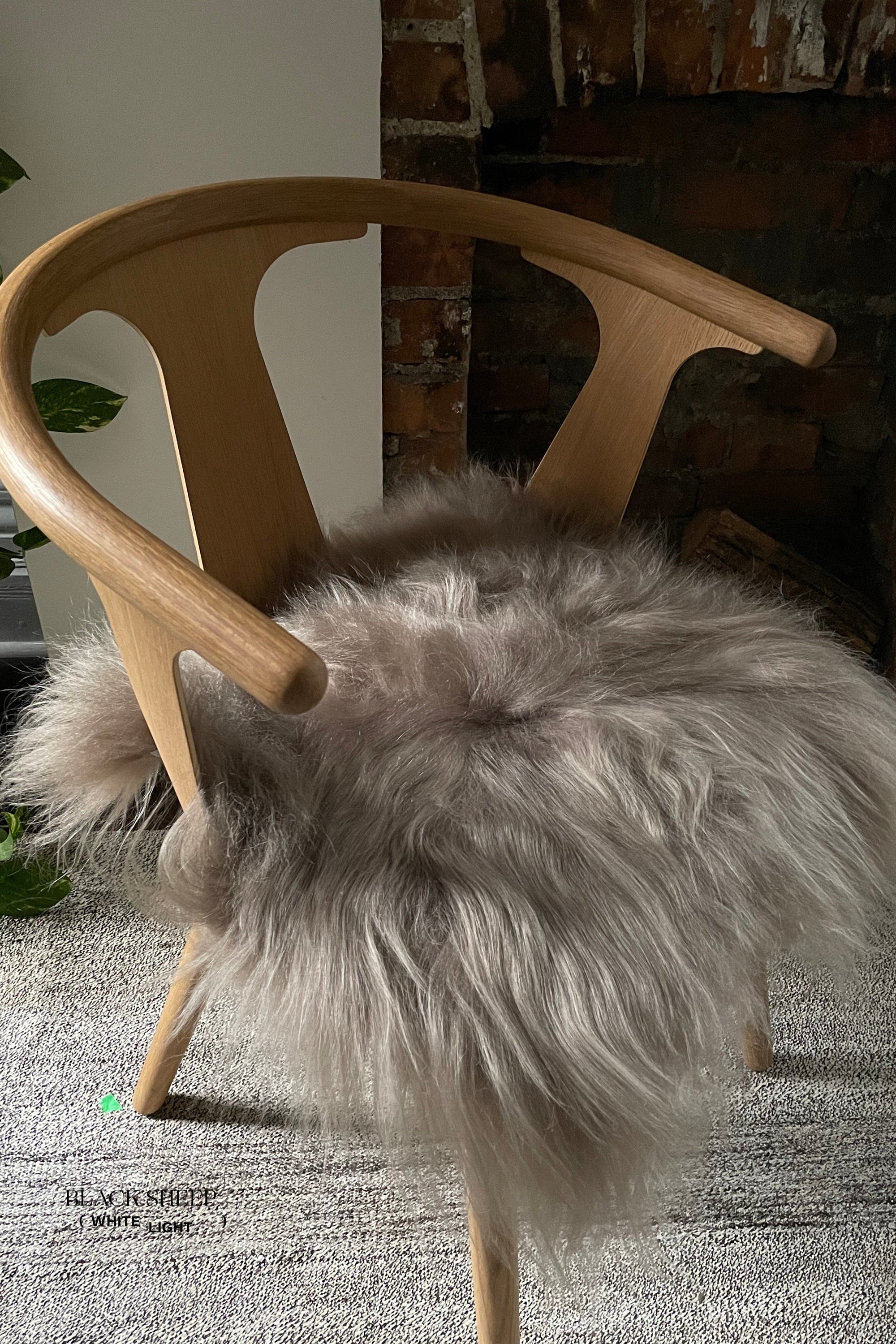 Taupe Icelandic Sheepskin Chair Pad - Black Sheep (White Light)