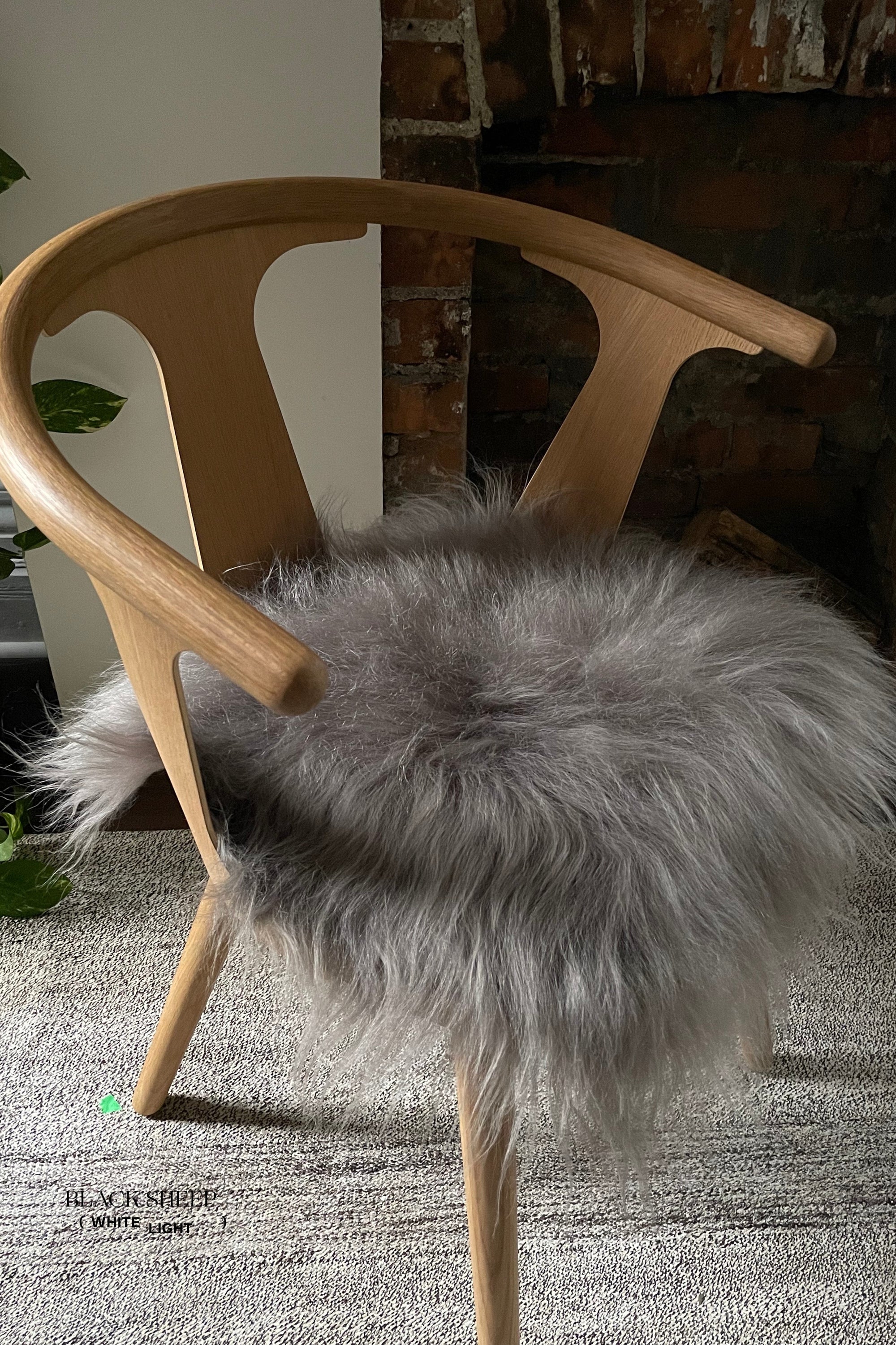 Mineral Icelandic Sheepskin Chair Pad - Black Sheep (White Light)