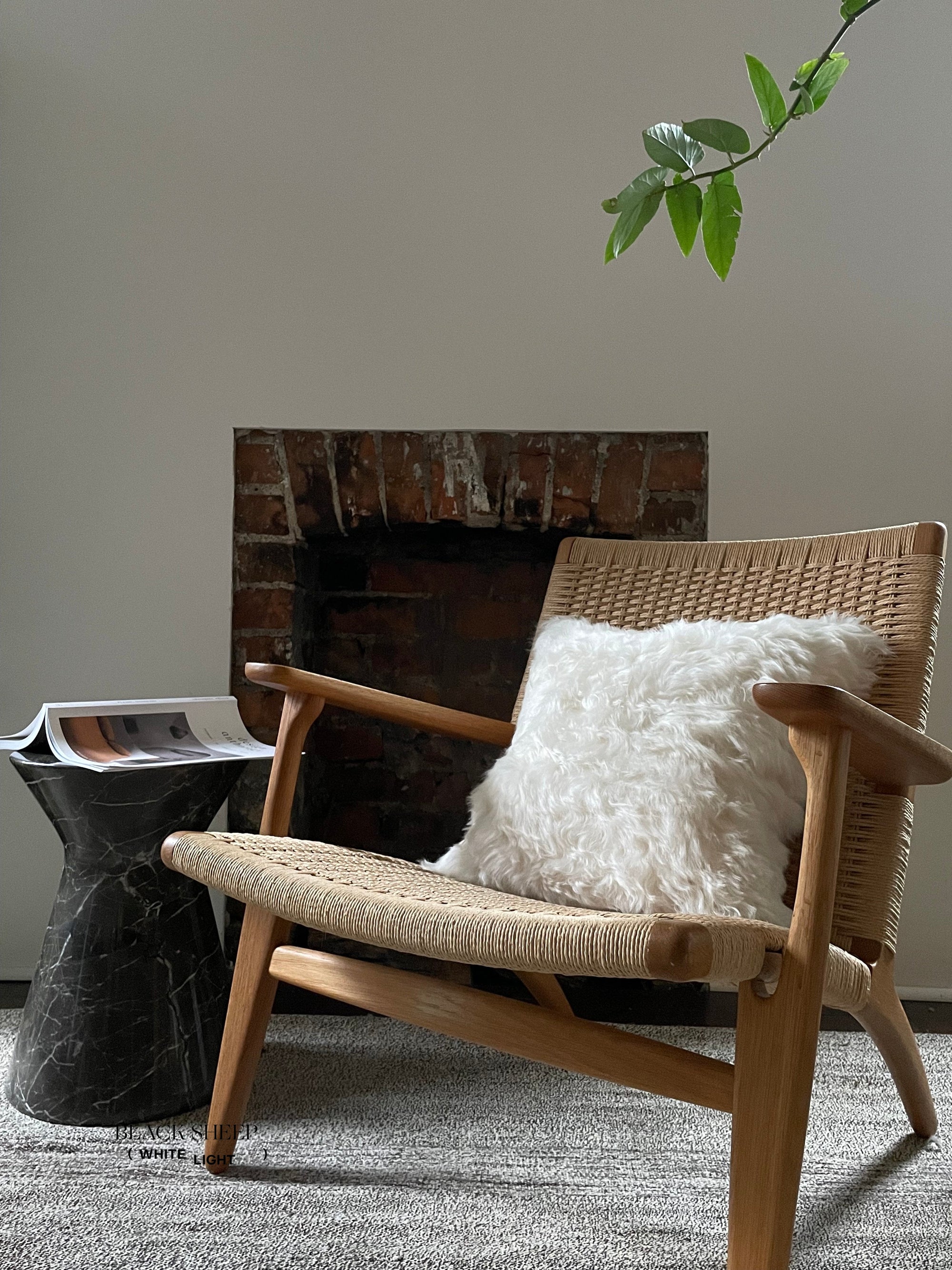 Square Shorn White Icelandic Sheepskin Pillow Cover - Black Sheep (White Light)