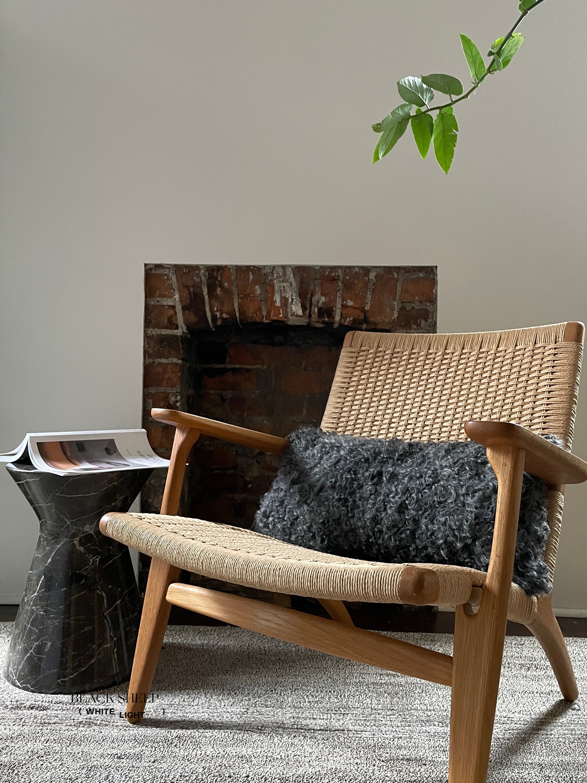 Rectangular Grey Gotland Sheepskin Pillow Cover - Black Sheep (White Light)