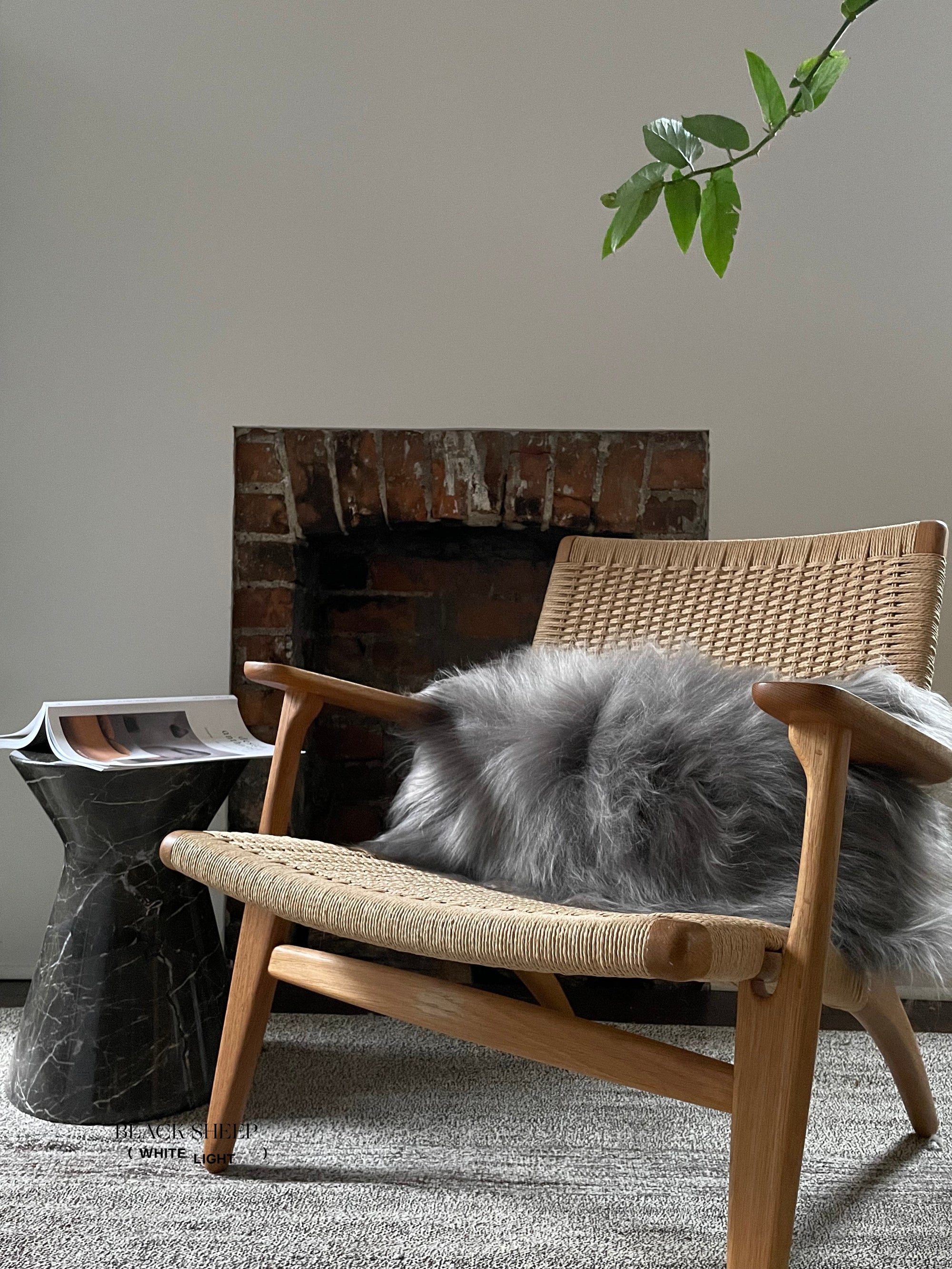 Rectangular Mineral Icelandic Sheepskin Pillow Cover - Black Sheep (White Light)
