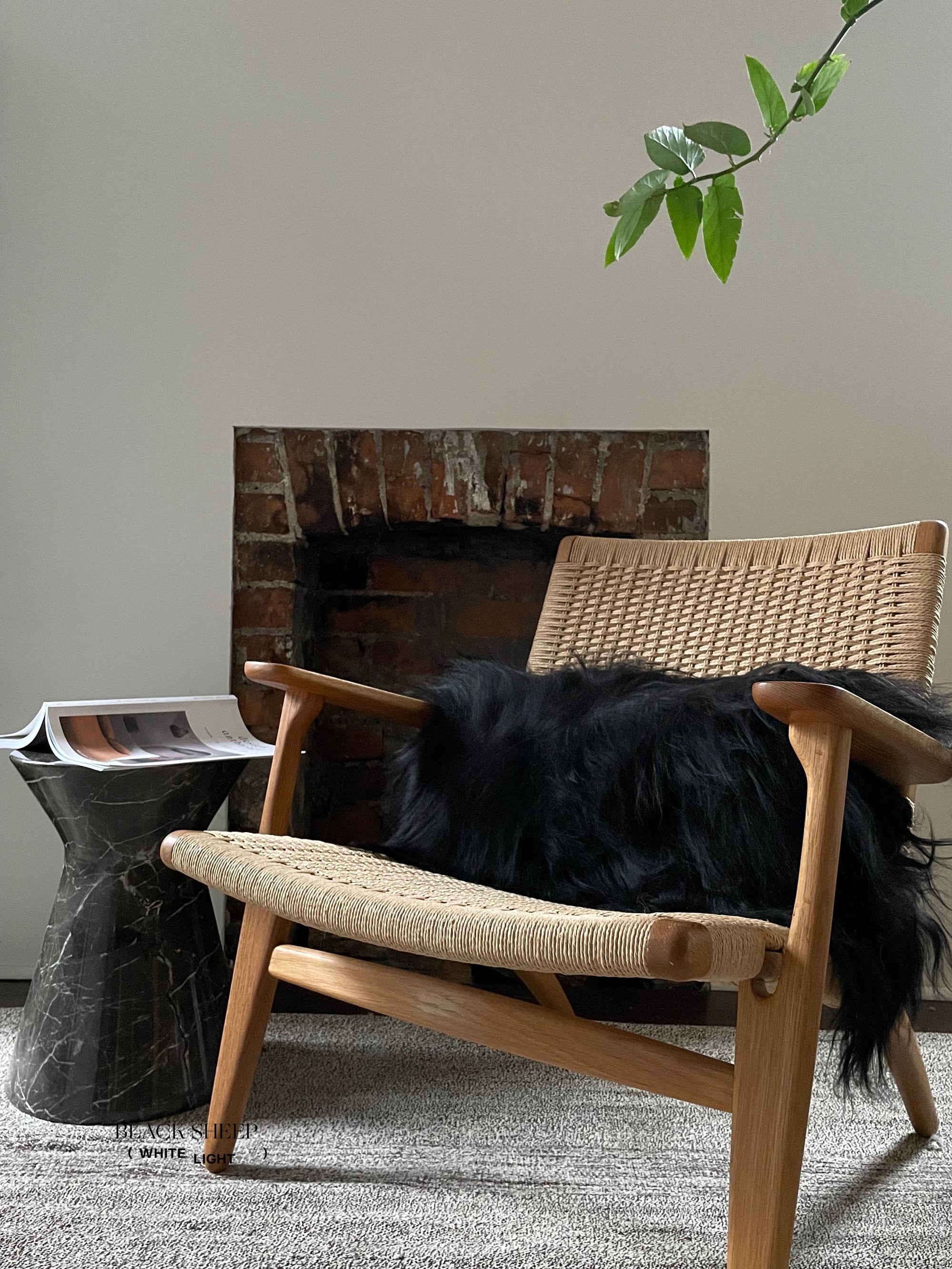 Rectangular Black Icelandic Sheepskin Pillow Cover - Black Sheep (White Light)