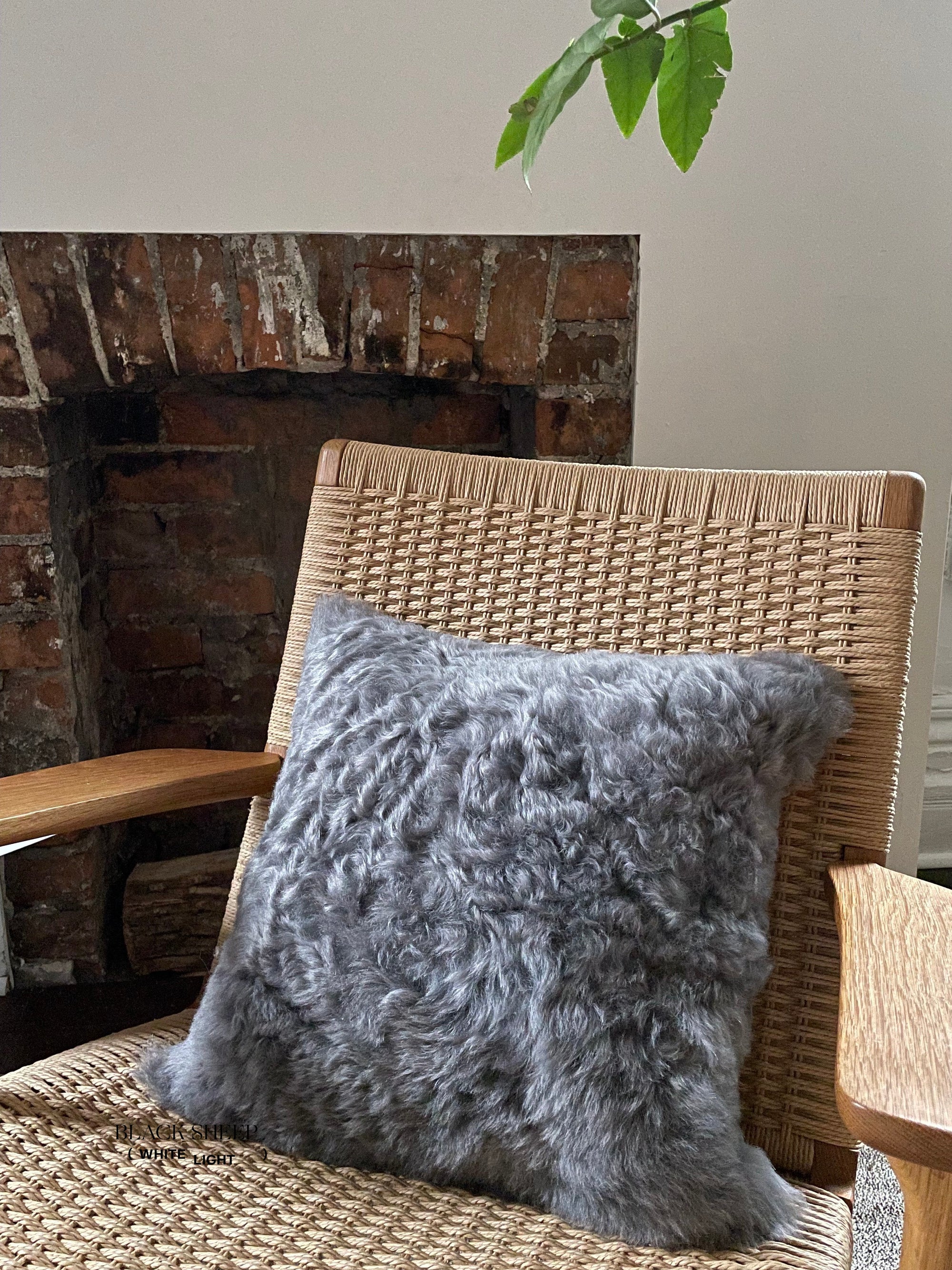 Square Shorn Silver Icelandic Sheepskin Pillow Cover - Black Sheep (White Light)
