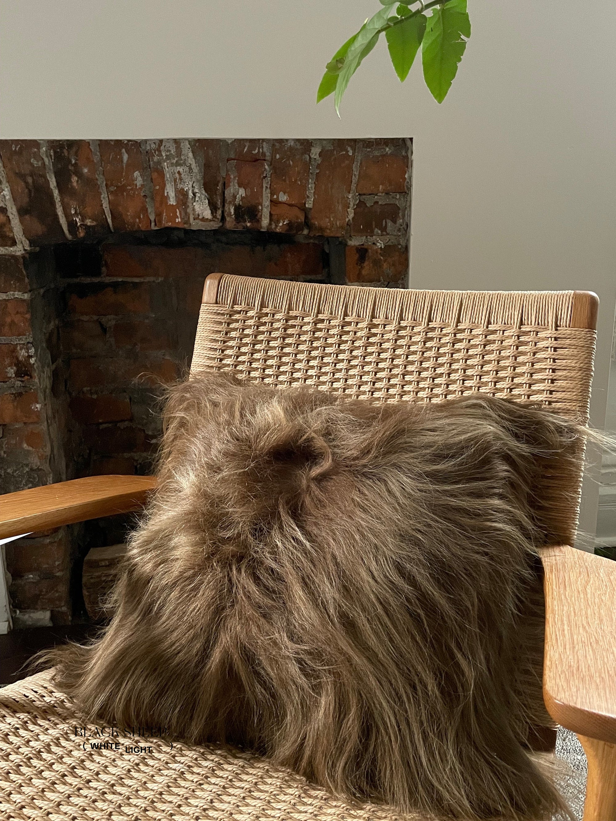 Square Brown Icelandic Sheepskin Pillow Cover - Black Sheep (White Light)