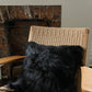Square Black Icelandic Sheepskin Pillow Cover - Black Sheep (White Light)
