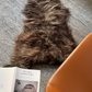 Dark Brown Icelandic Sheepskin - Black Sheep (White Light)