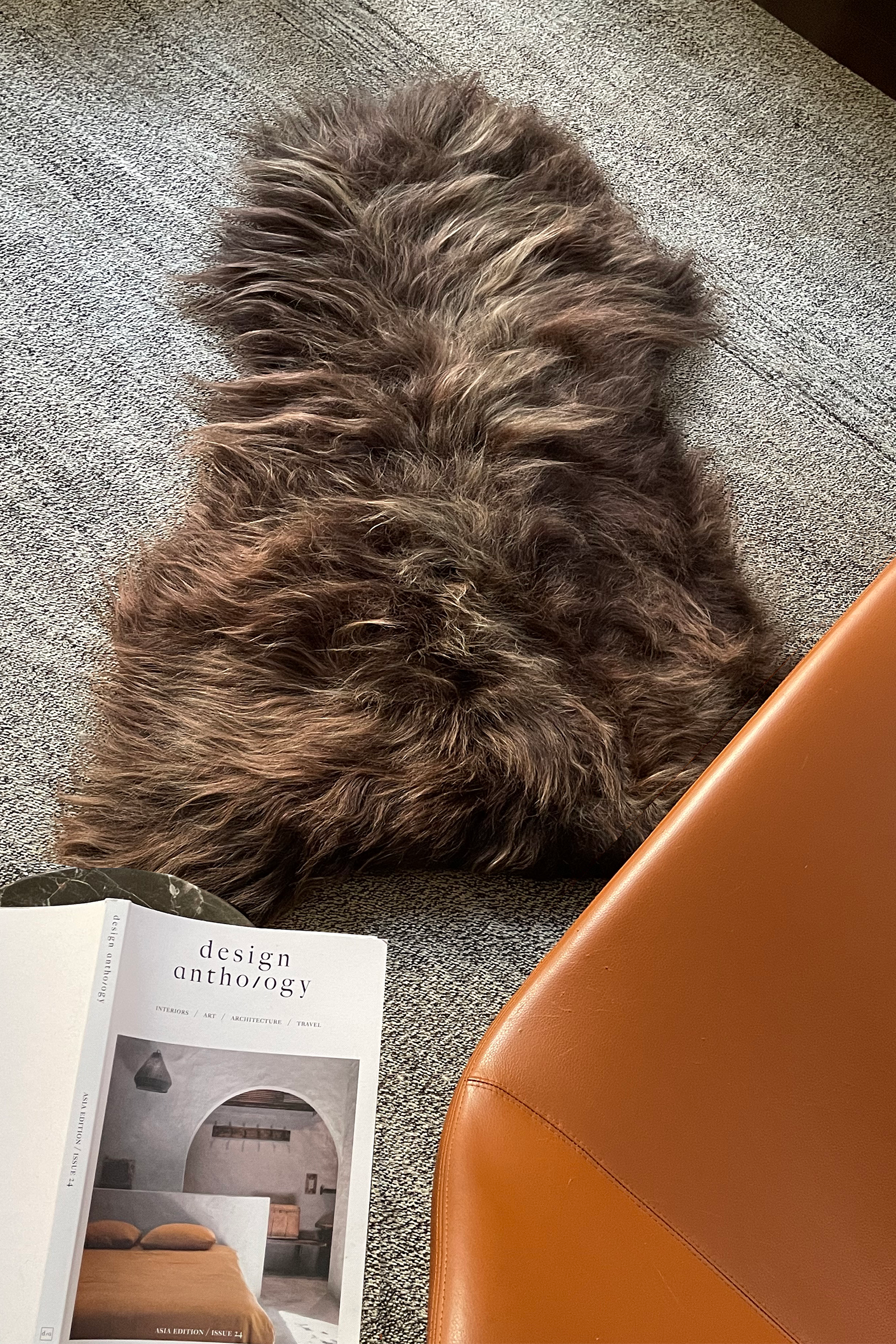 Dark Brown Icelandic Sheepskin - Black Sheep (White Light)