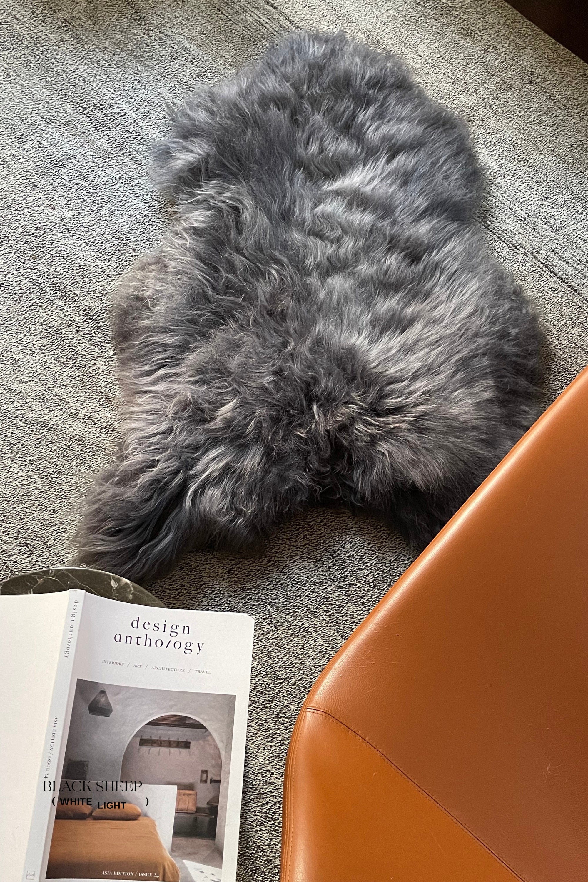 Silver Icelandic Sheepskin - Black Sheep (White Light)