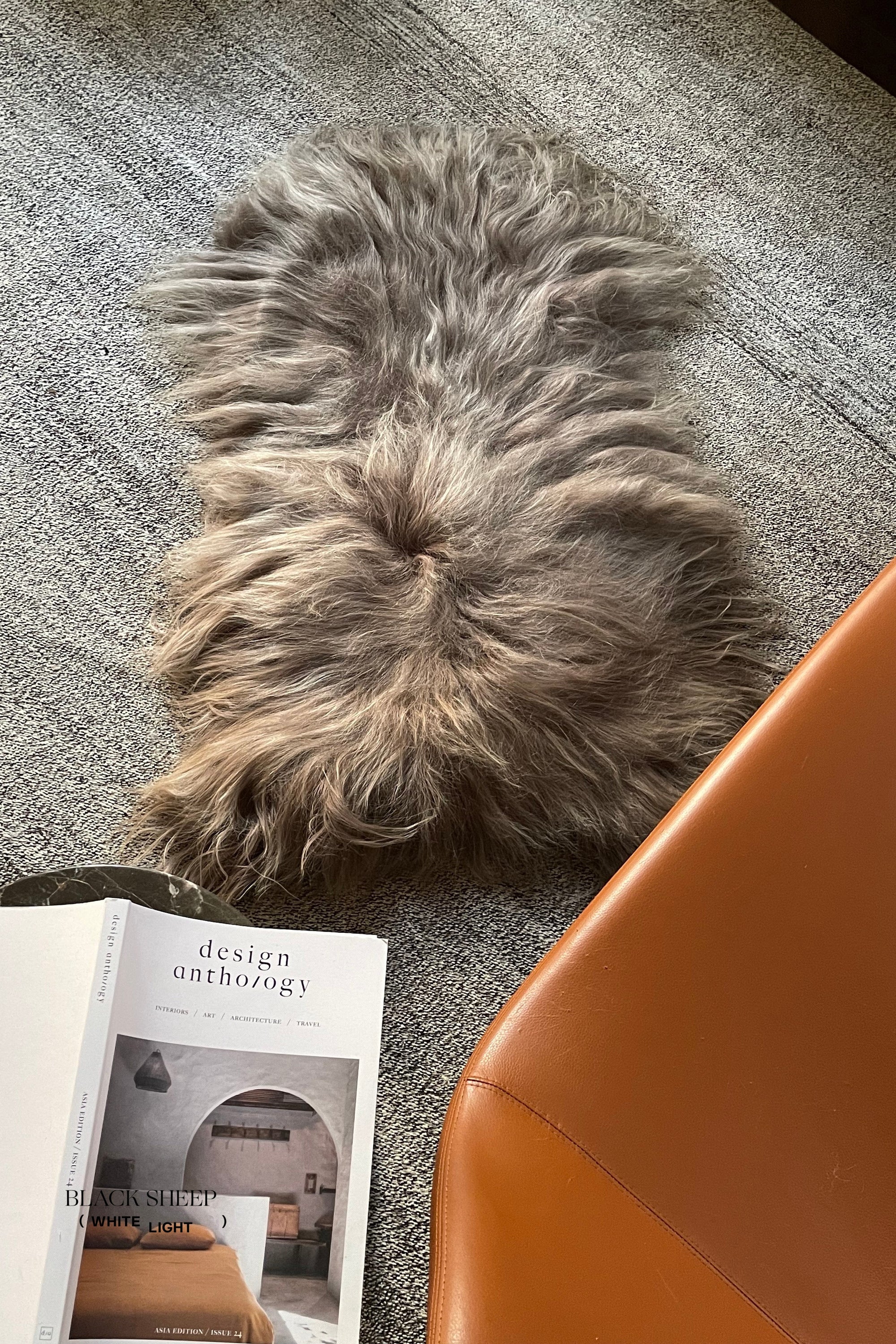 Taupe Icelandic Sheepskin - Black Sheep (White Light)
