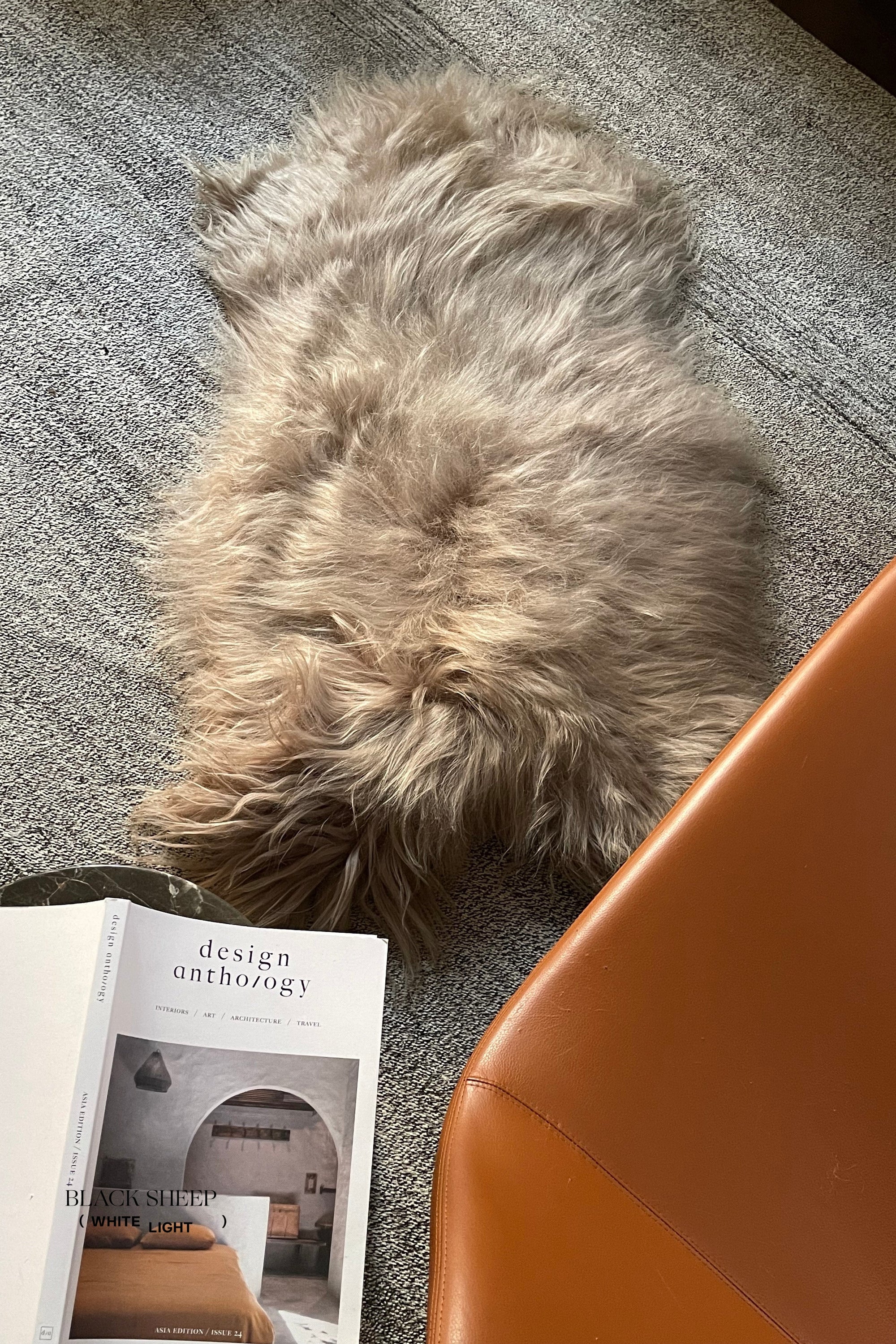 Camel Icelandic Sheepskin - Black Sheep (White Light)