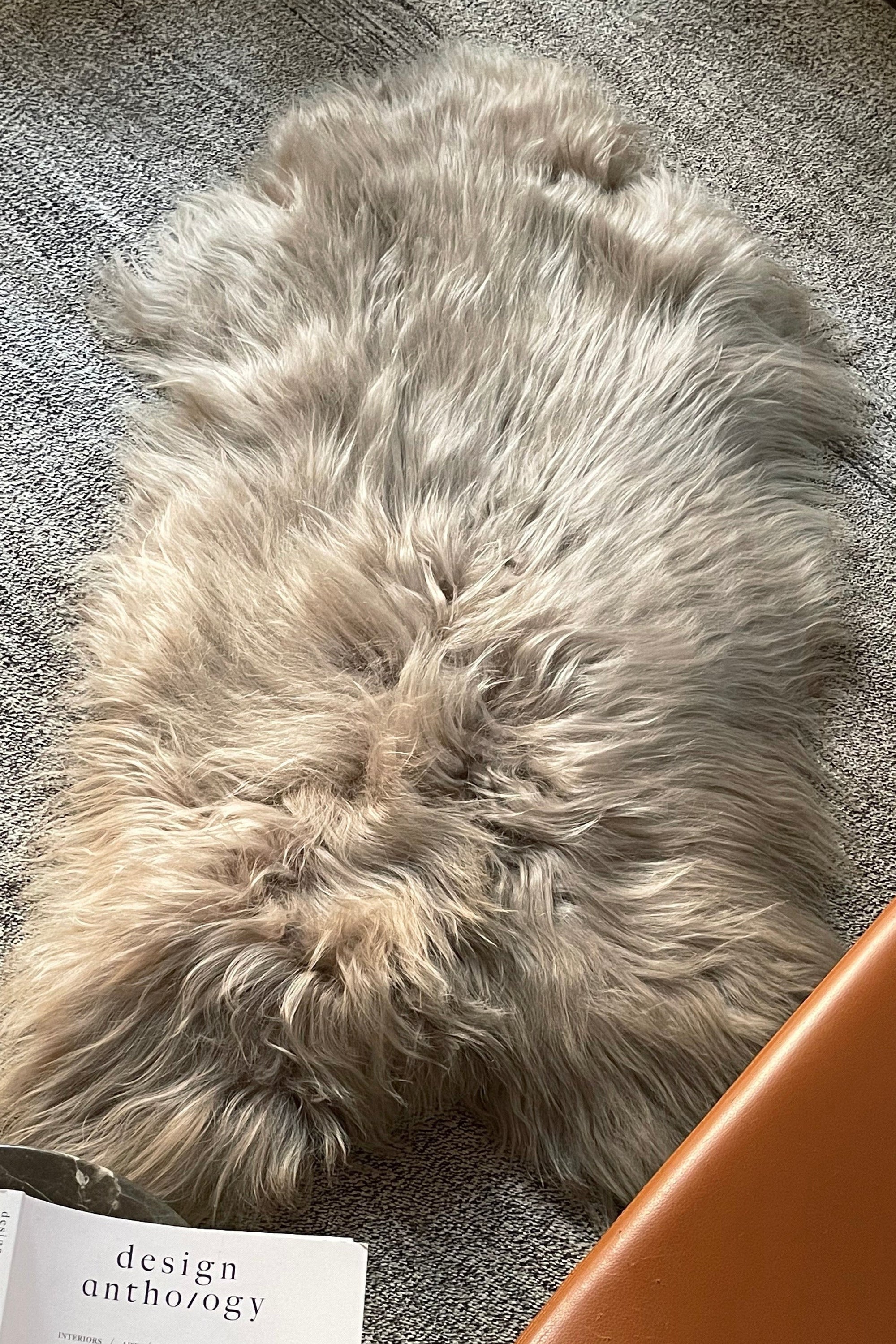 Nude Icelandic Sheepskin - Black Sheep (White Light)