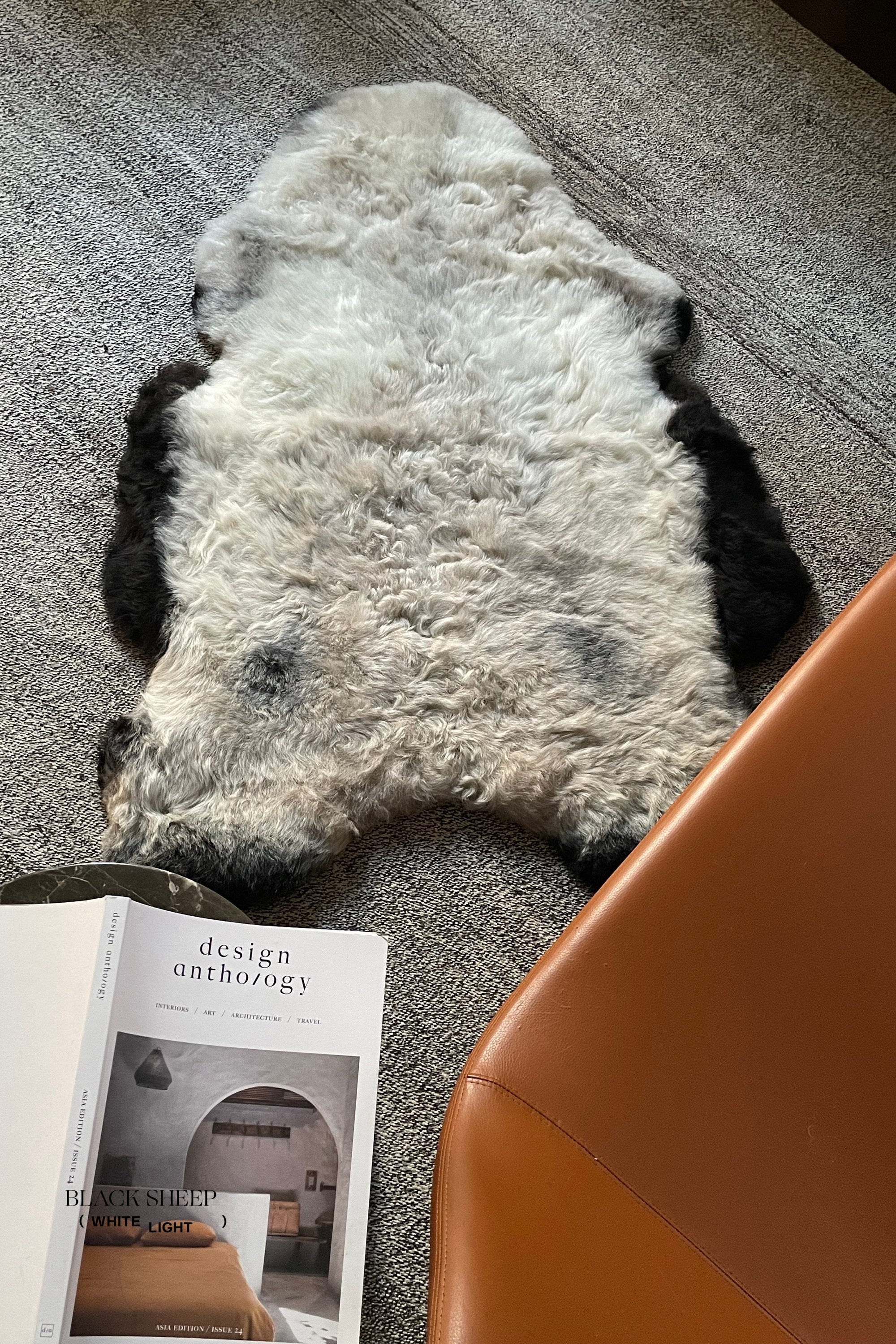 Shorn Grey Icelandic Sheepskin - Black Sheep (White Light)