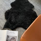 Shorn Black Icelandic Sheepskin - Black Sheep (White Light)