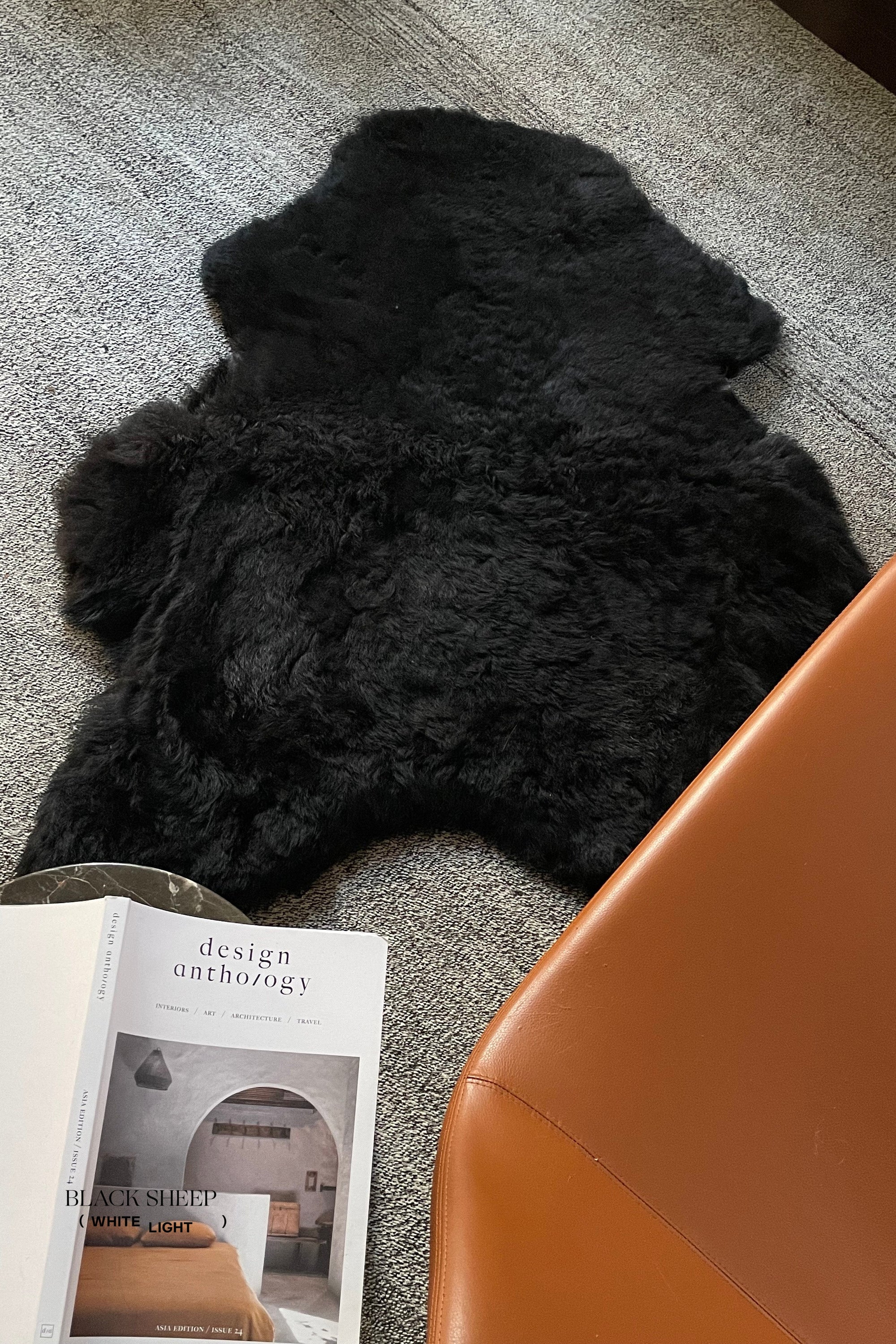 Shorn Black Icelandic Sheepskin - Black Sheep (White Light)