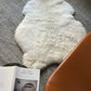 Shorn White Icelandic Sheepskin - Black Sheep (White Light)