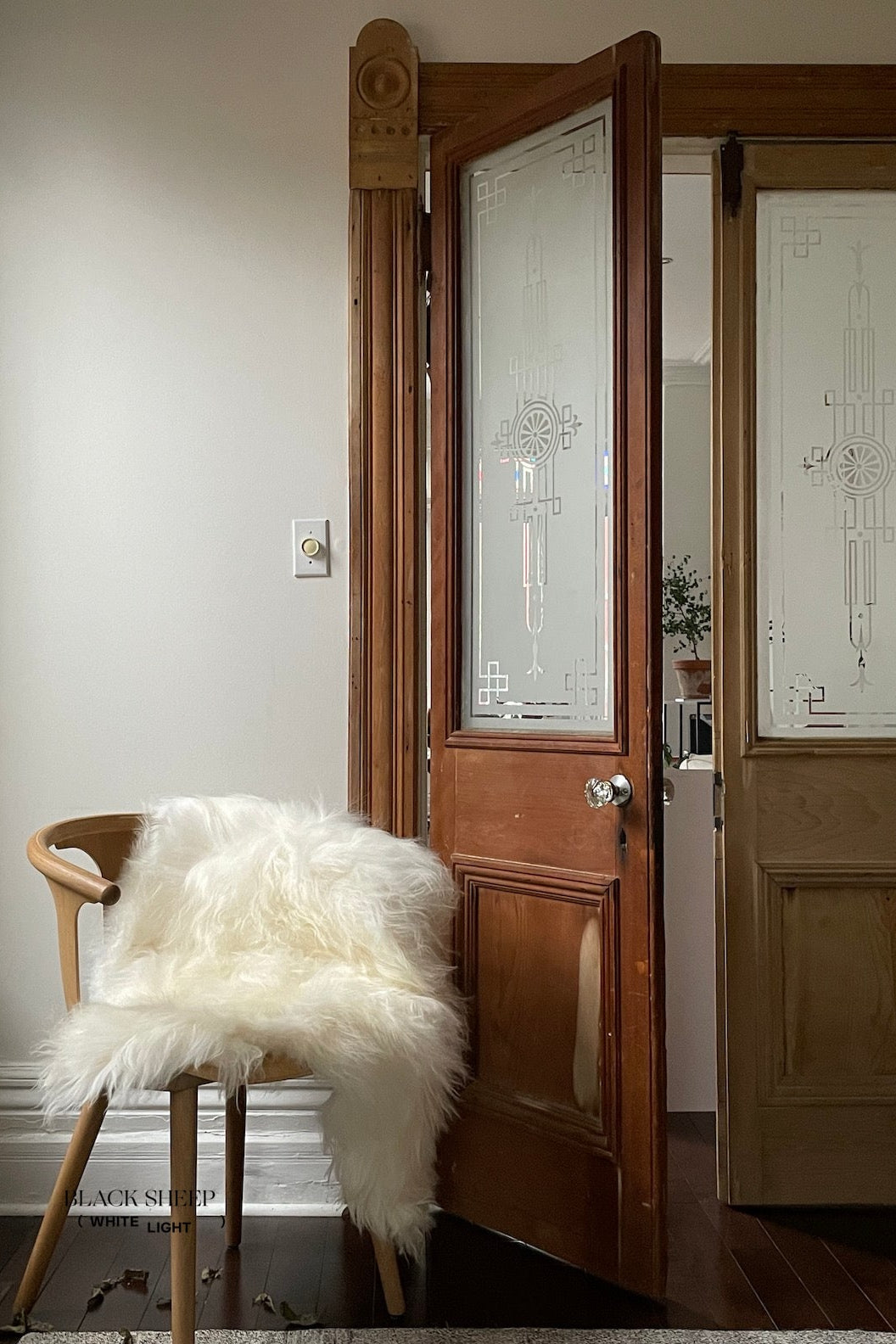 White Icelandic Sheepskin - Black Sheep (White Light)