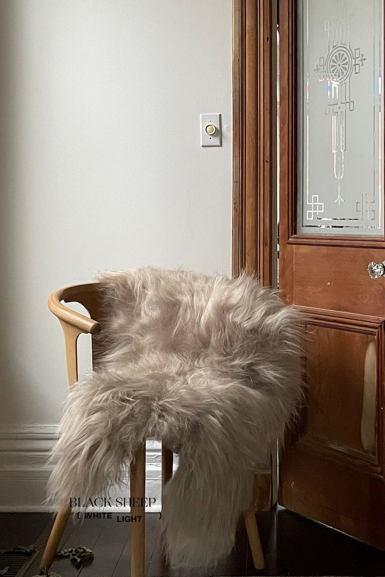 Nude Icelandic Sheepskin - Black Sheep (White Light)