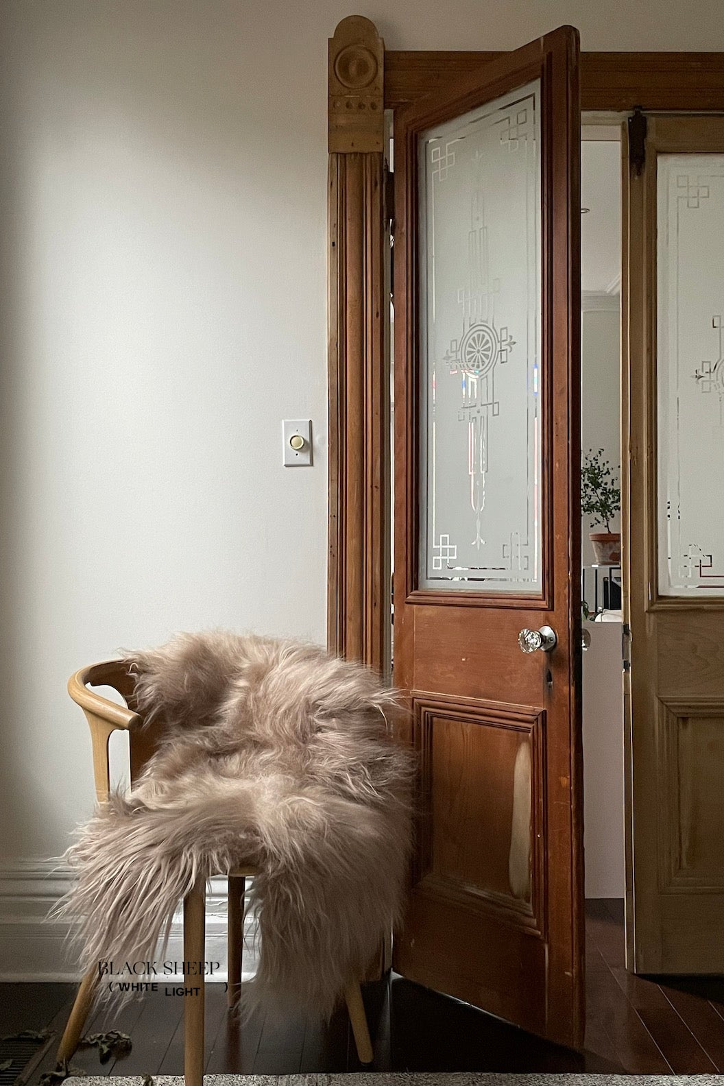 Camel Icelandic Sheepskin - Black Sheep (White Light)