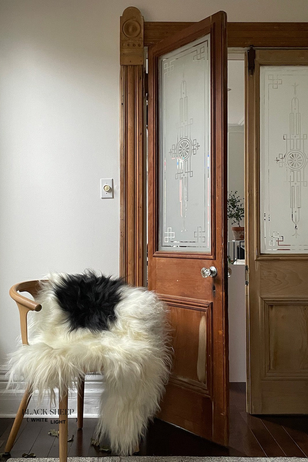 Black Spotted Icelandic Sheepskin | Random - Black Sheep (White Light)