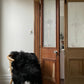 Spotted Icelandic Sheepskin | Maximal - Black Sheep (White Light)